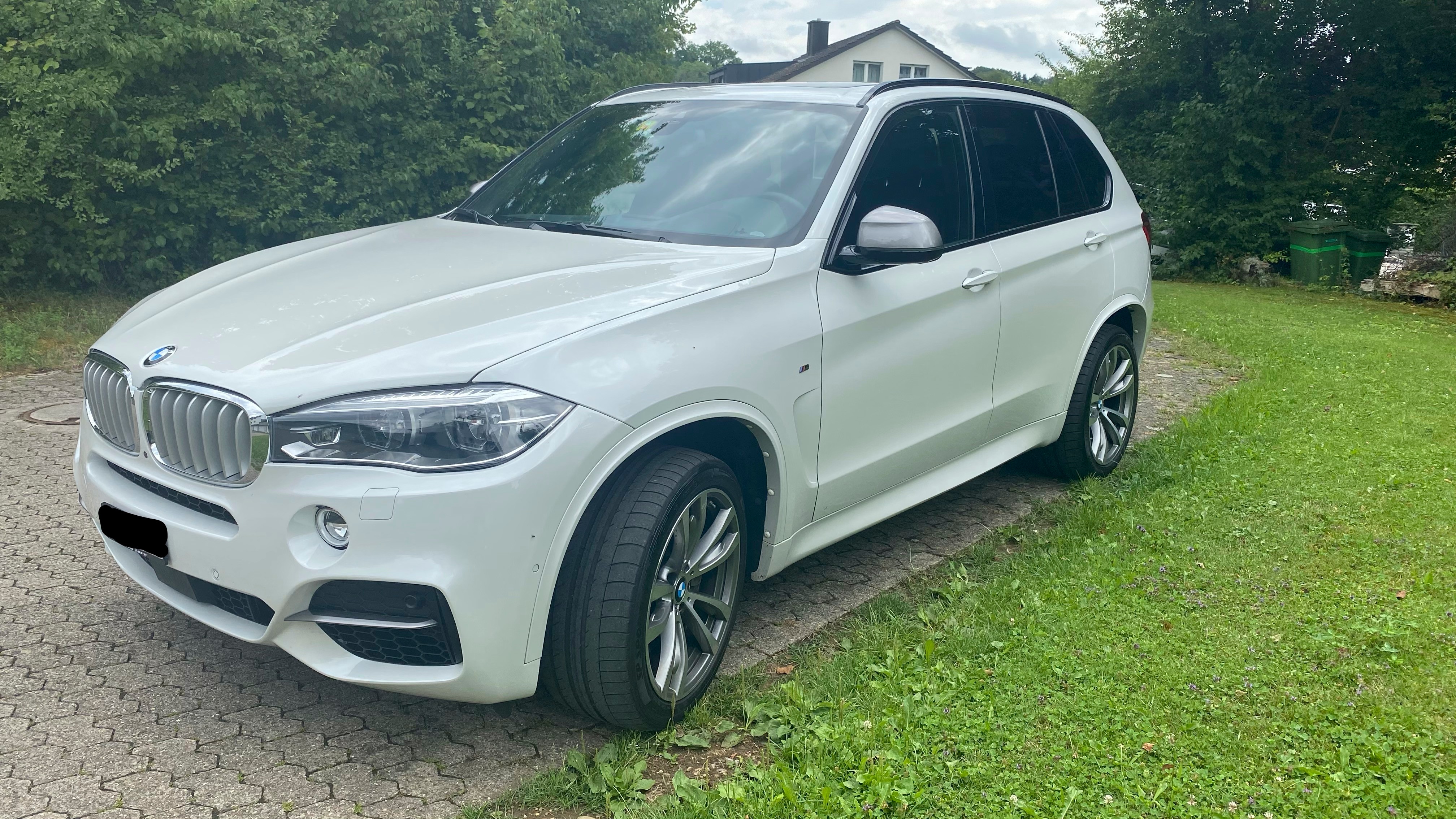 BMW X5 xDrive M50d Pure M Sport Plus Steptronic