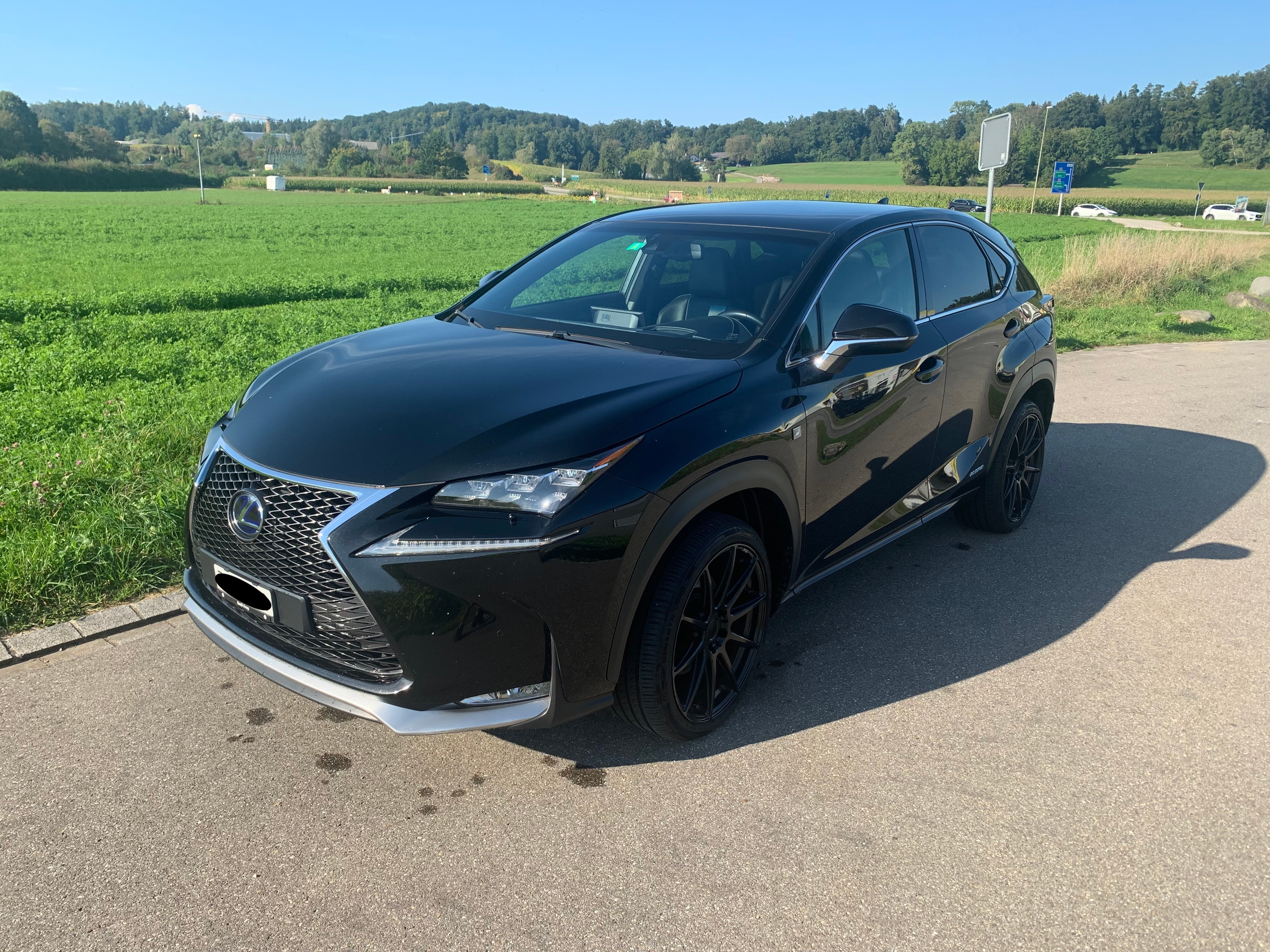 LEXUS NX 300h F-Sport E-Four Automatic