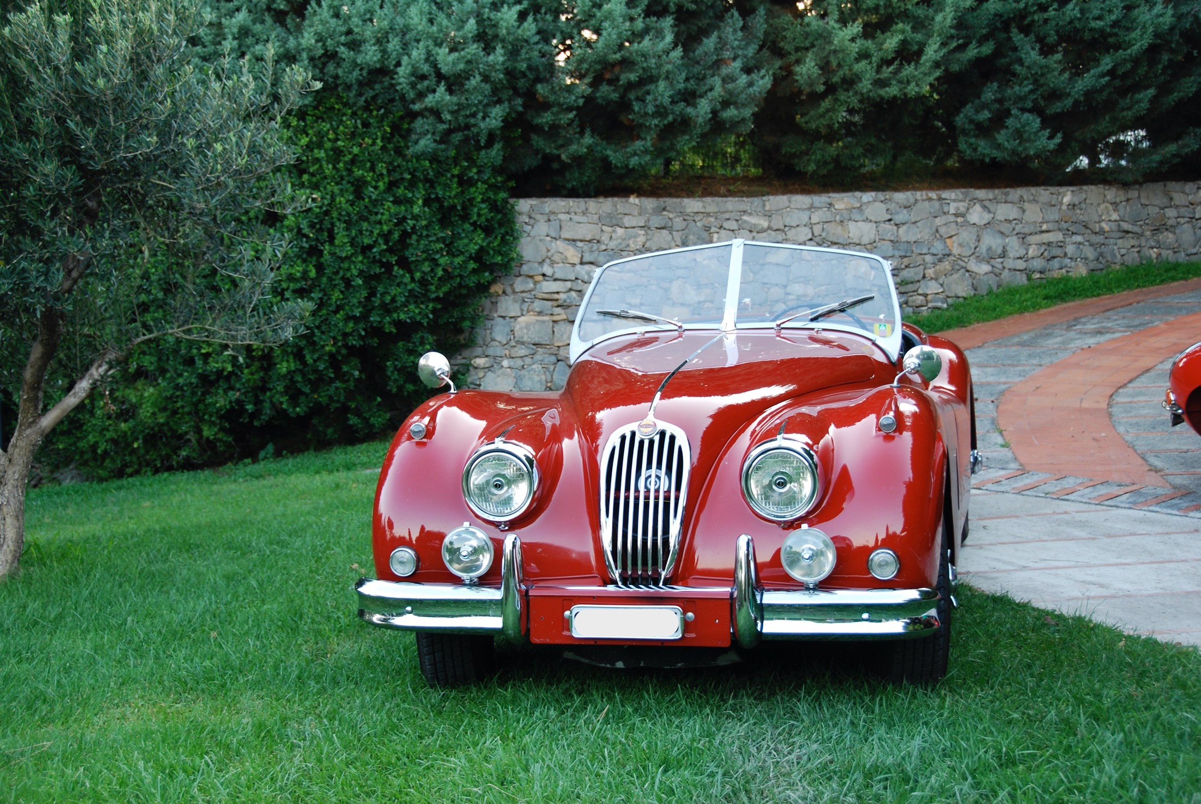 JAGUAR XK140 Roadster