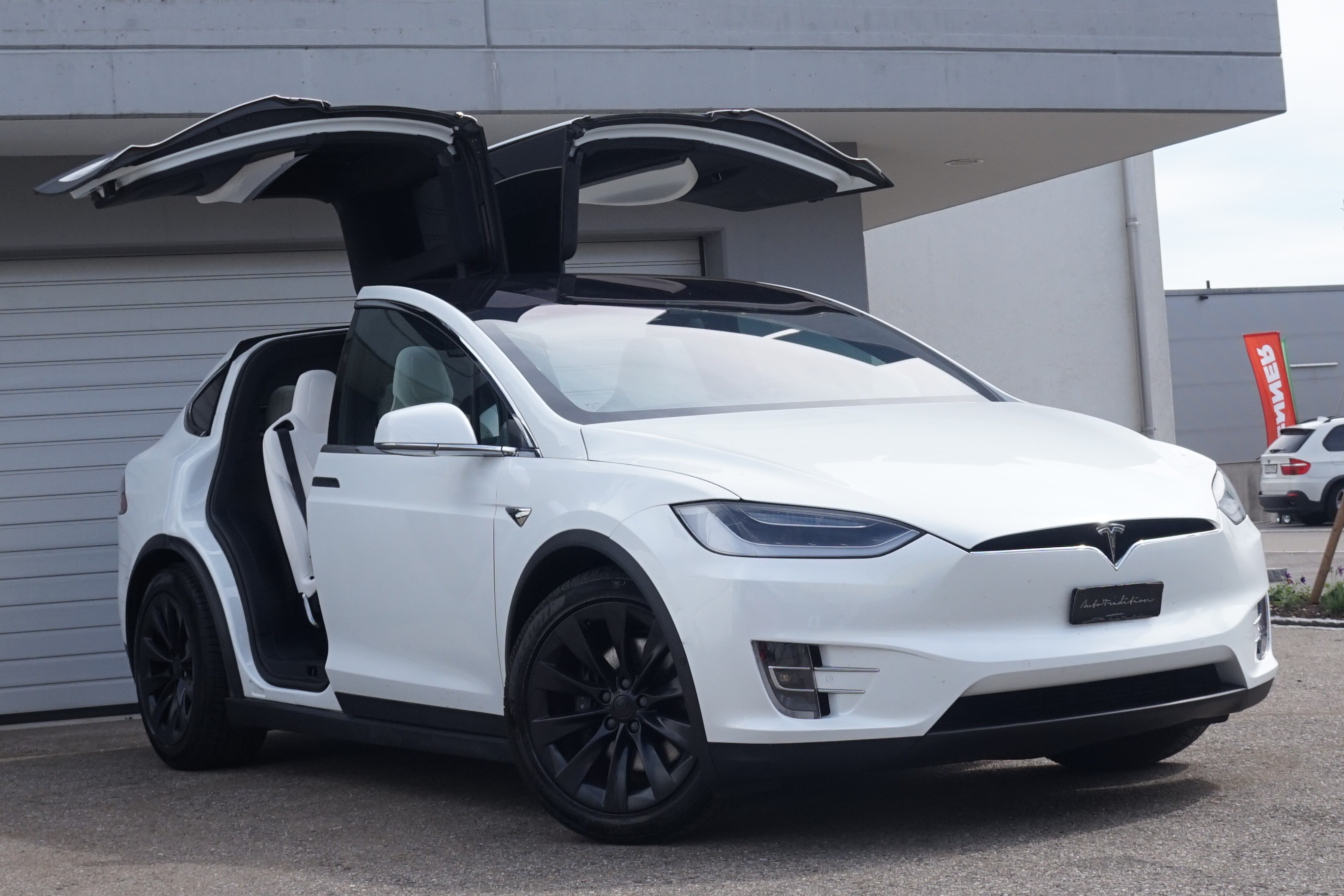 TESLA Model X 100 D - 6 PLATZ - MAXIMALE REICHWEITE