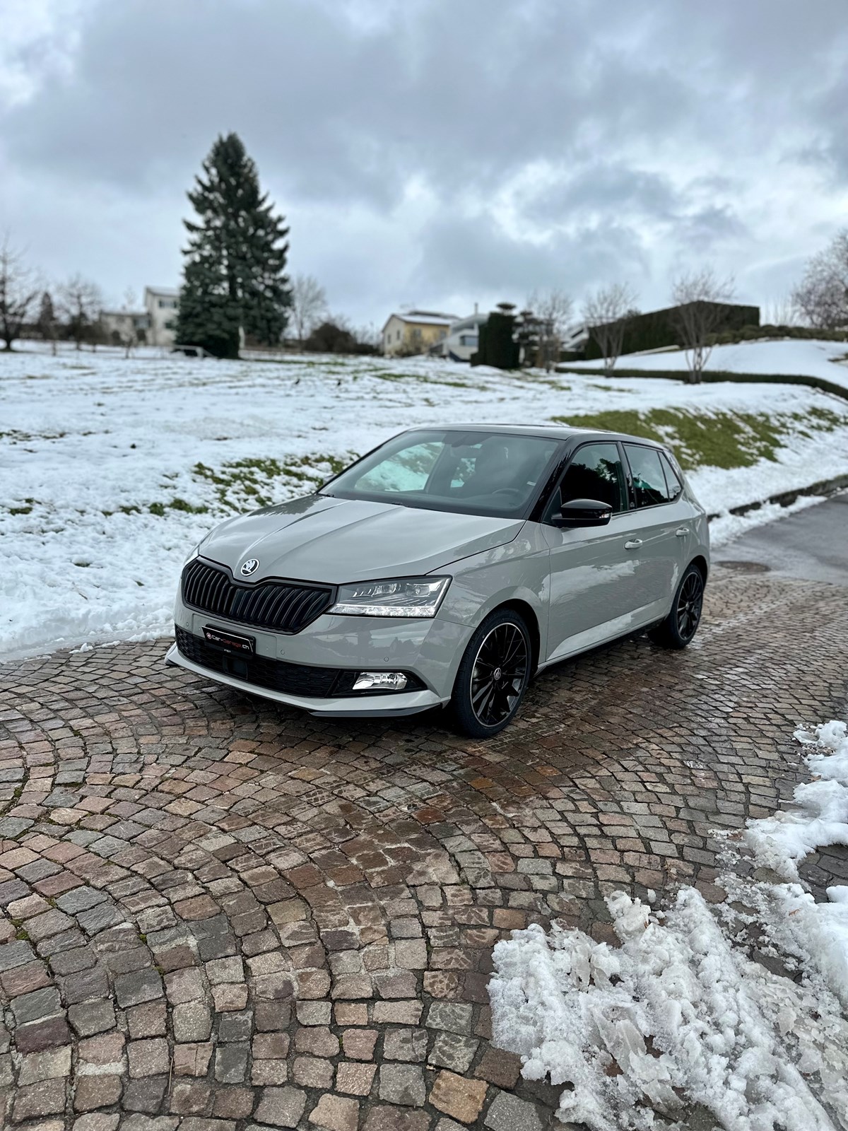 SKODA Fabia 1.0 TSI Monte Carlo DSG