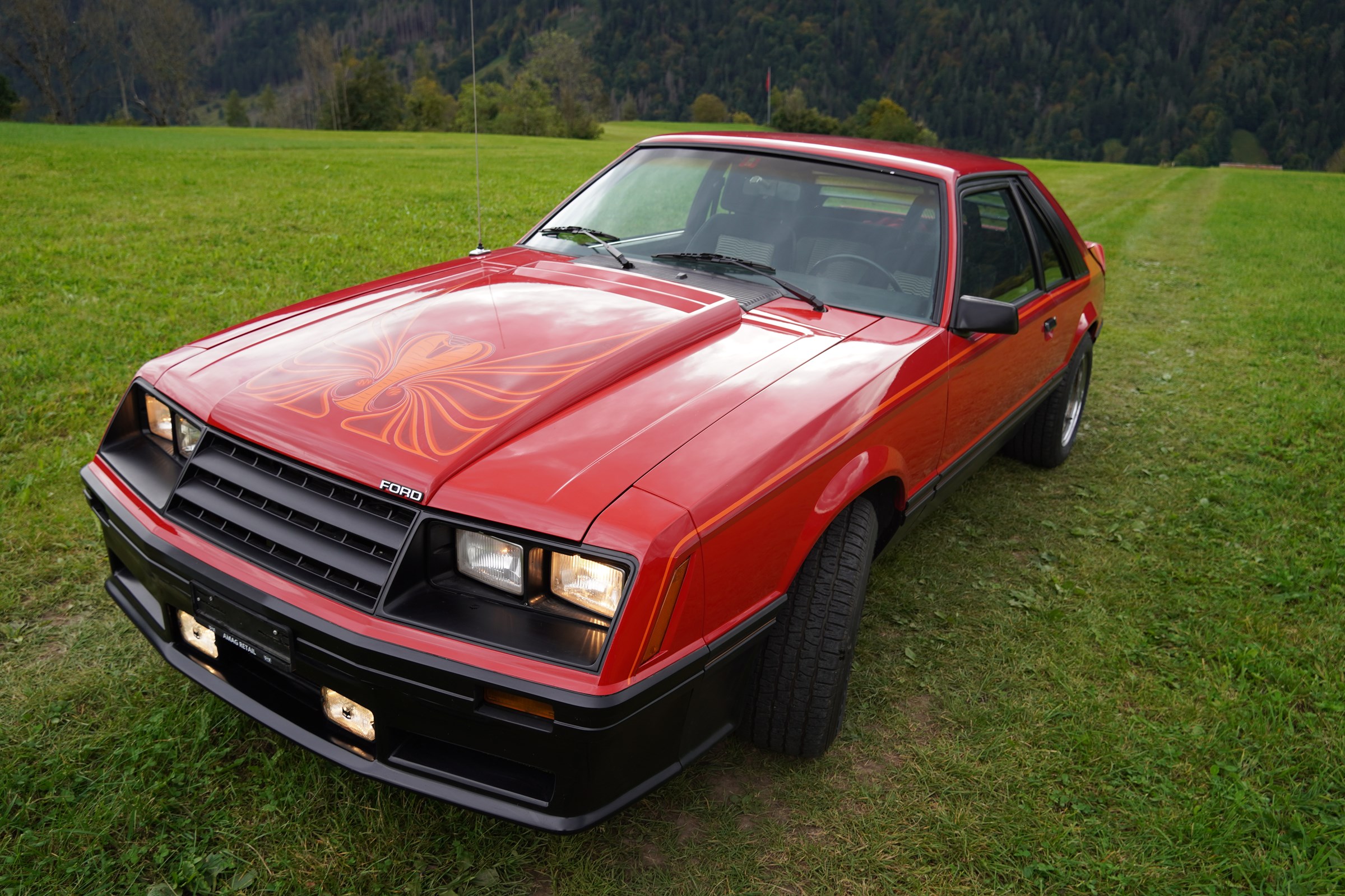 FORD MUSTANG Cobra