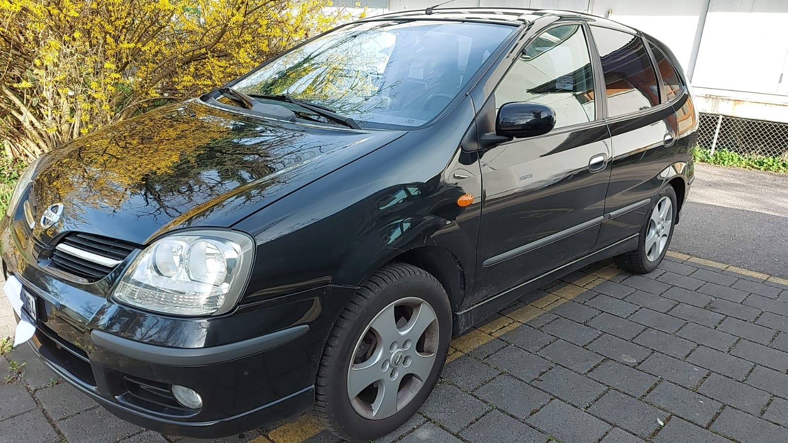 NISSAN Almera Tino 1.8 16V business