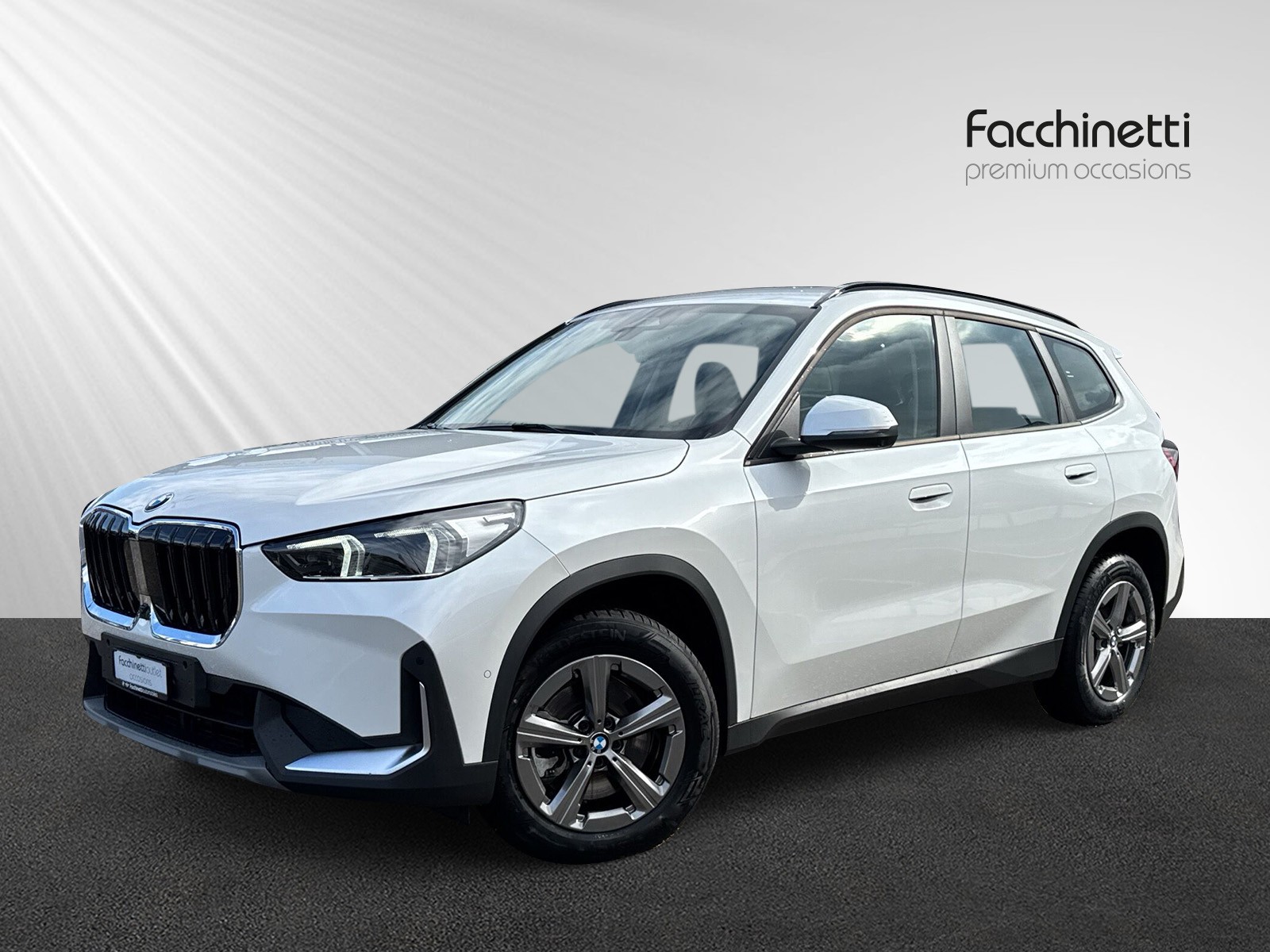 BMW X1 xDrive 23i 48V