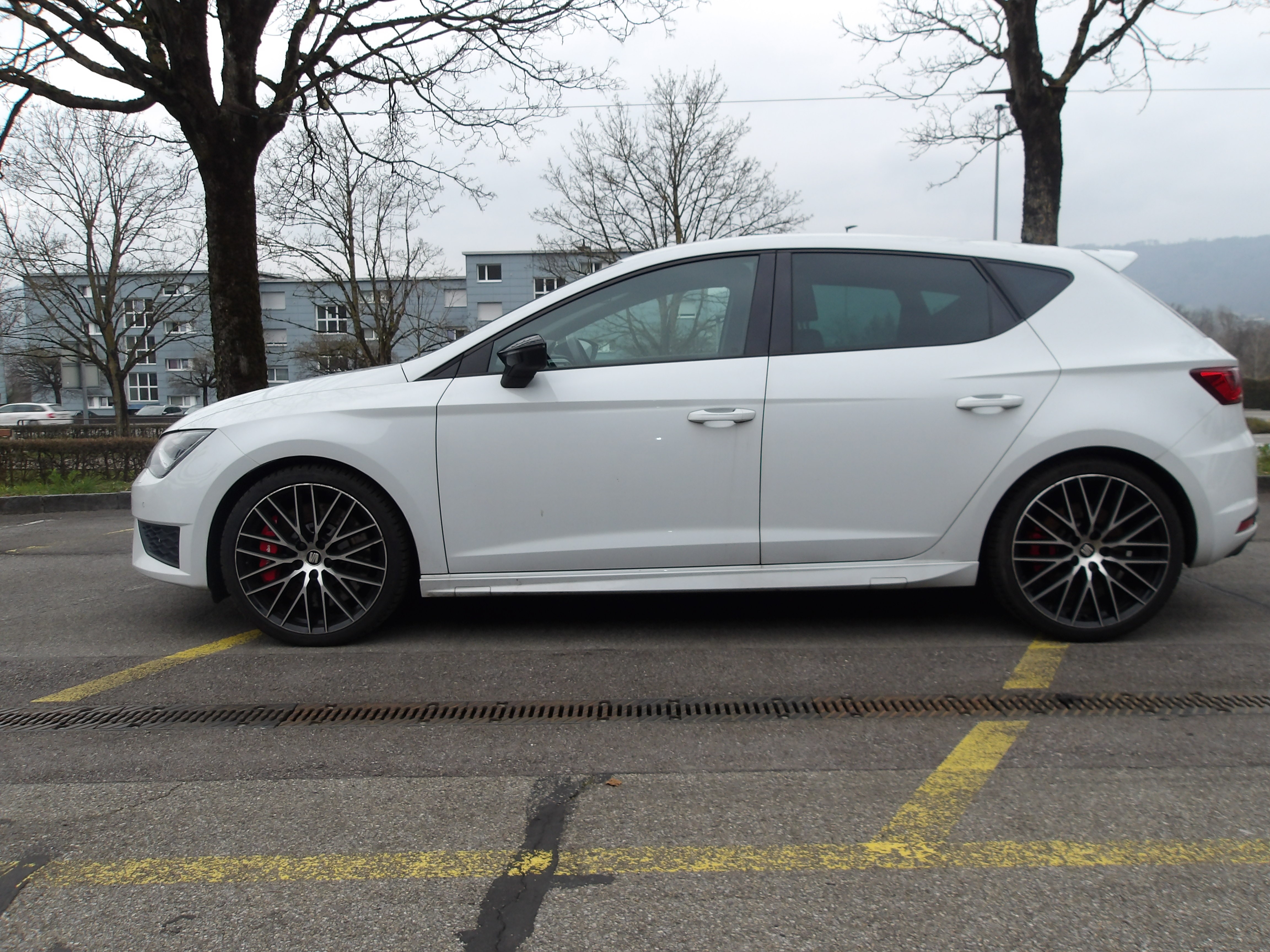 SEAT Leon 2.0 TSI Cupra 290 DSG