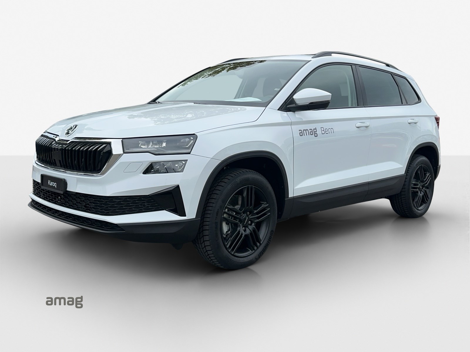 SKODA Karoq 1.5 TSI Selection DSG