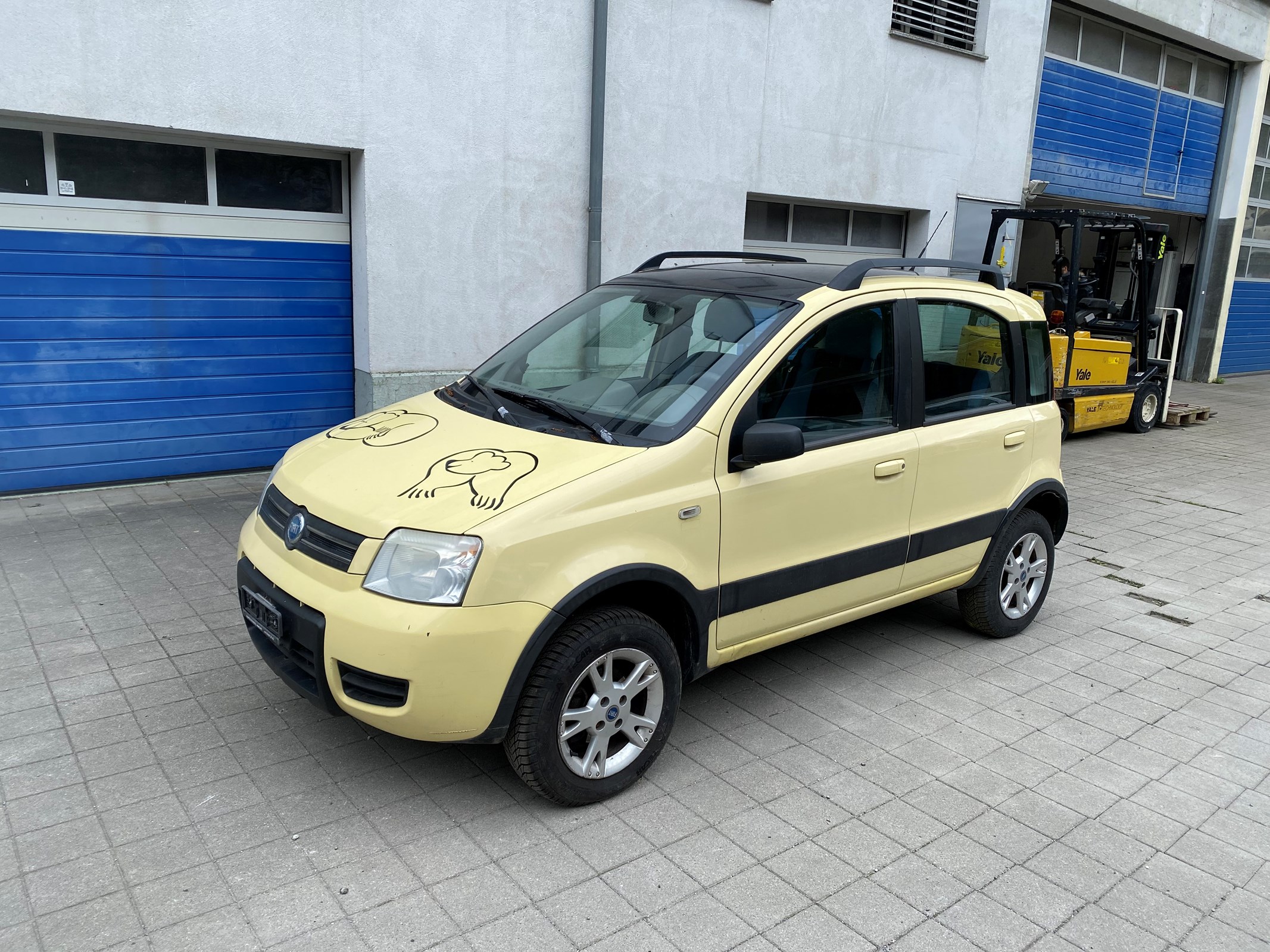 FIAT Panda 1.2 4x4 (Trekking)