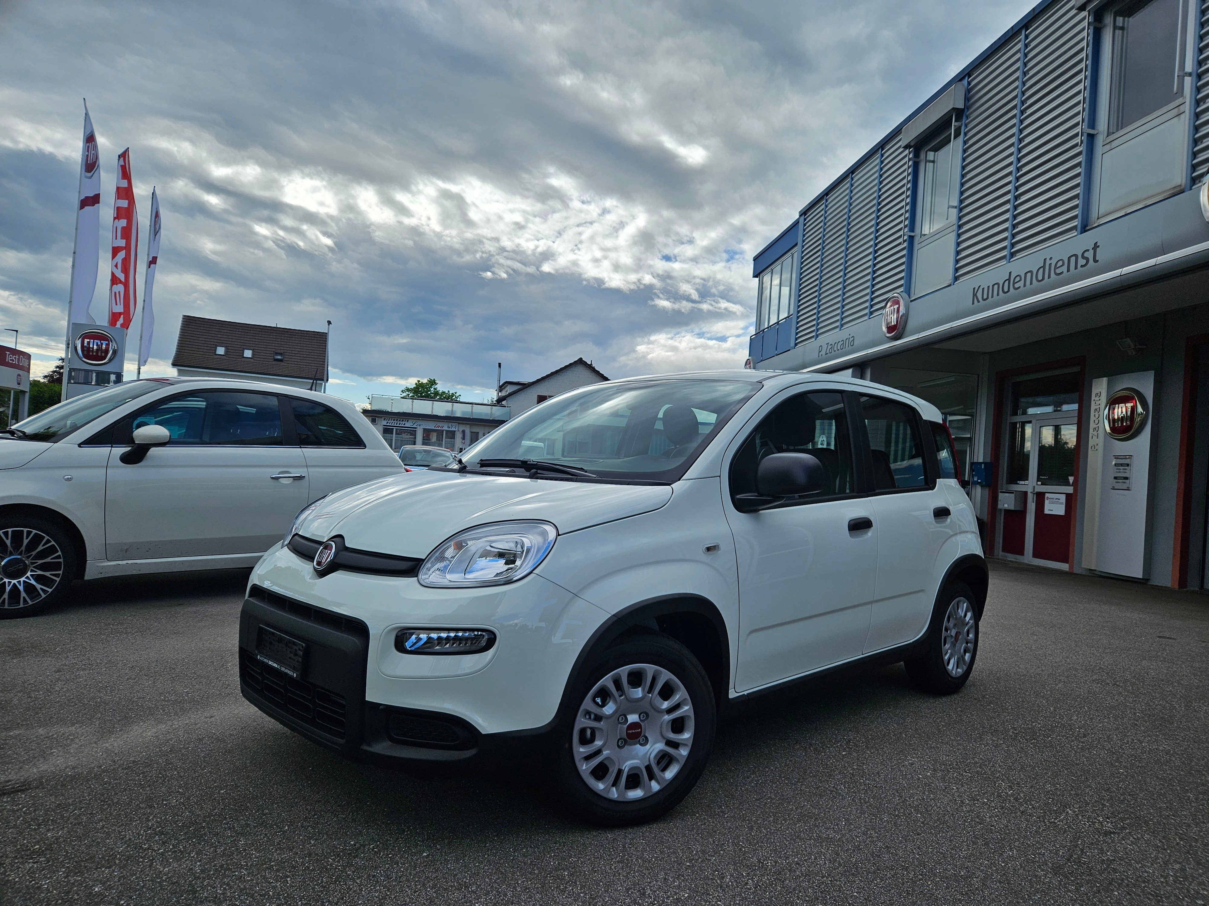 FIAT Panda 1.0 MHEV City Life