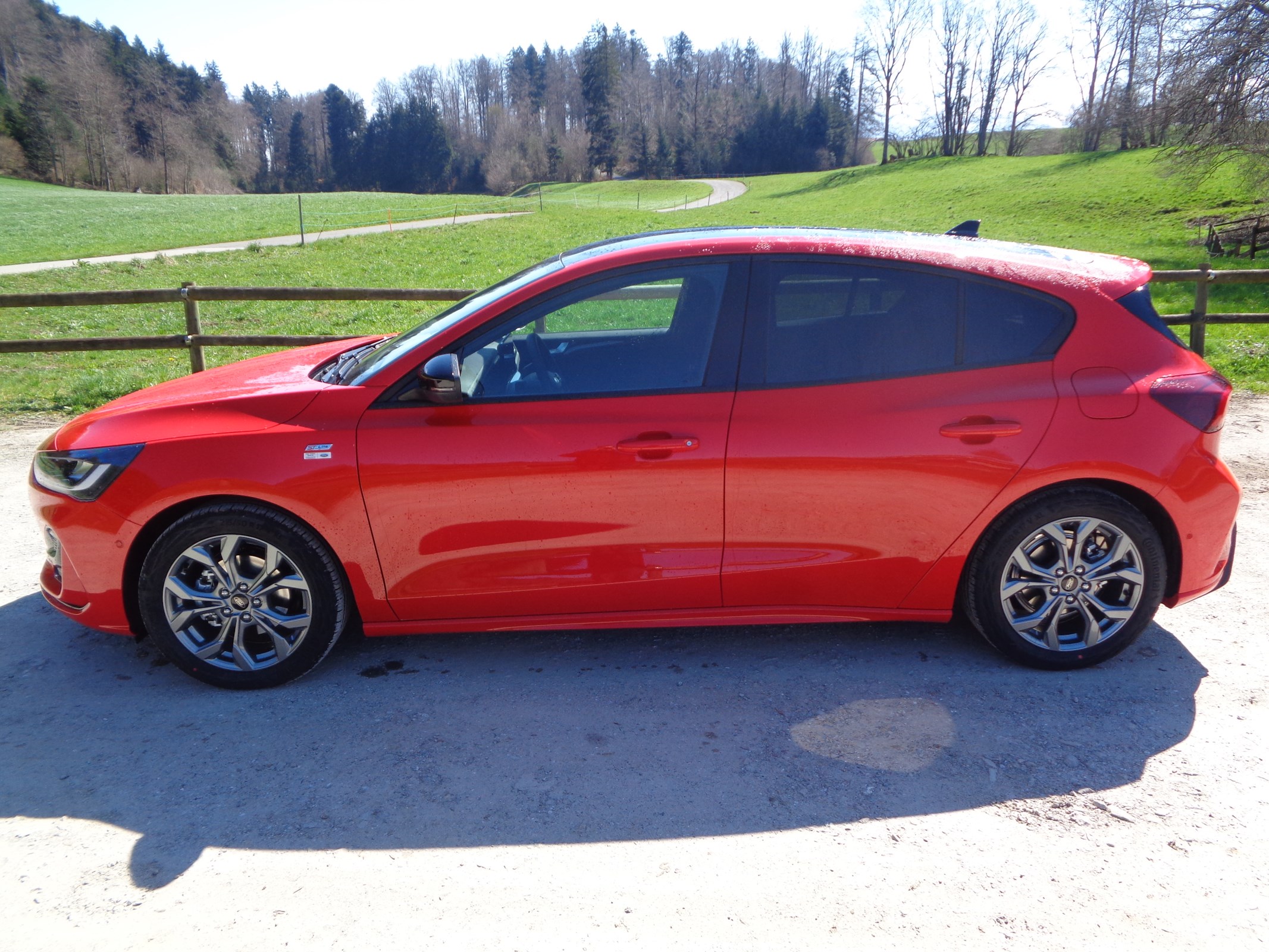 FORD Focus 1.0 MHEV ST-Line