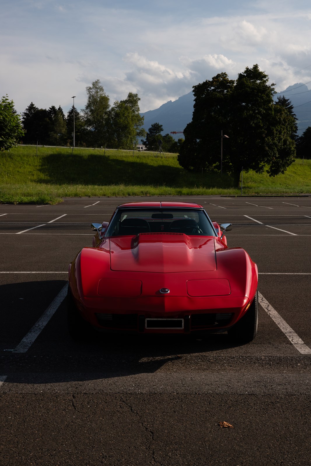 CHEVROLET CORVETTE C3 Targa