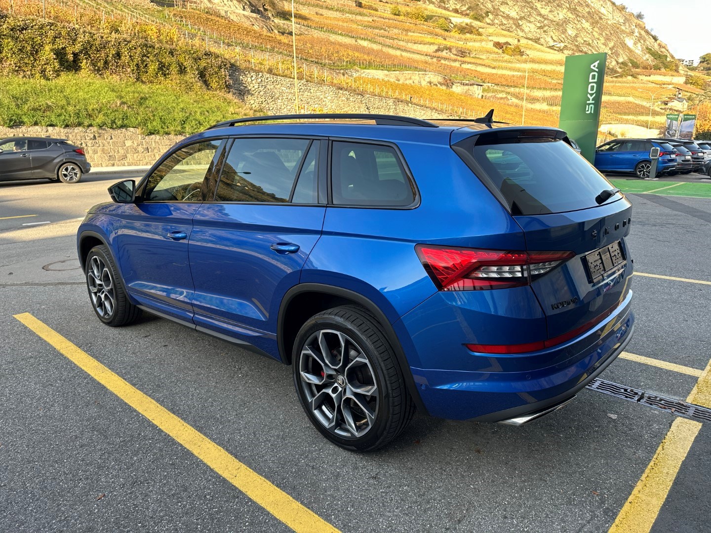 SKODA Kodiaq 2.0 Bi-TDI SCR RS 4x4 DSG