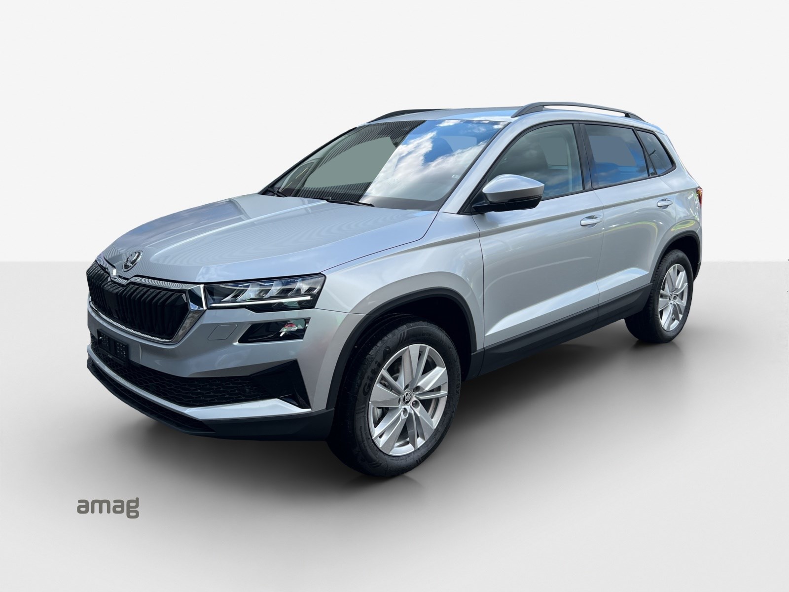 SKODA Karoq 2.0 TDI CR Selection 4x4 DSG