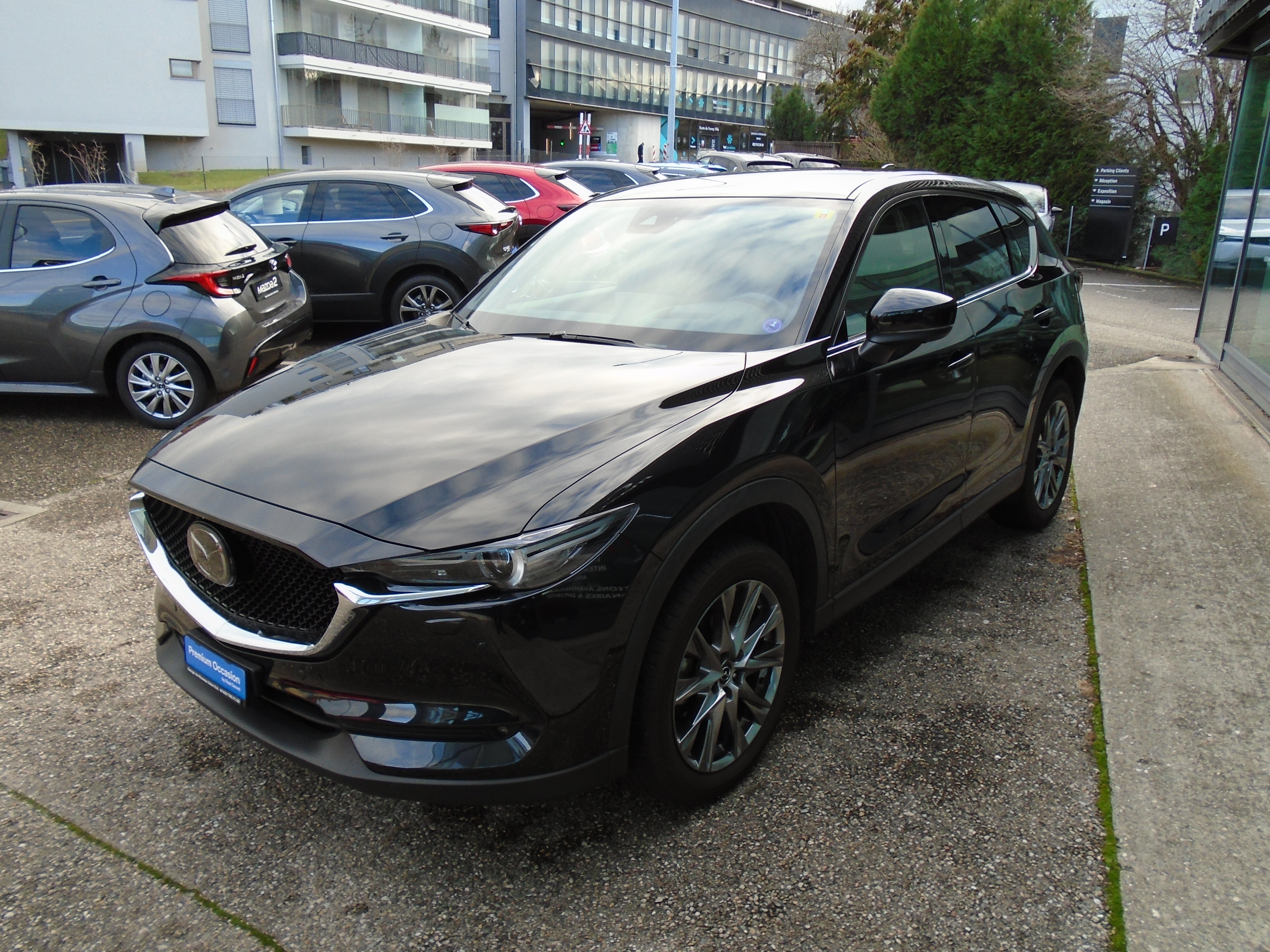 MAZDA CX-5 SKYACTIV-G 194 Revolution AWD Automat