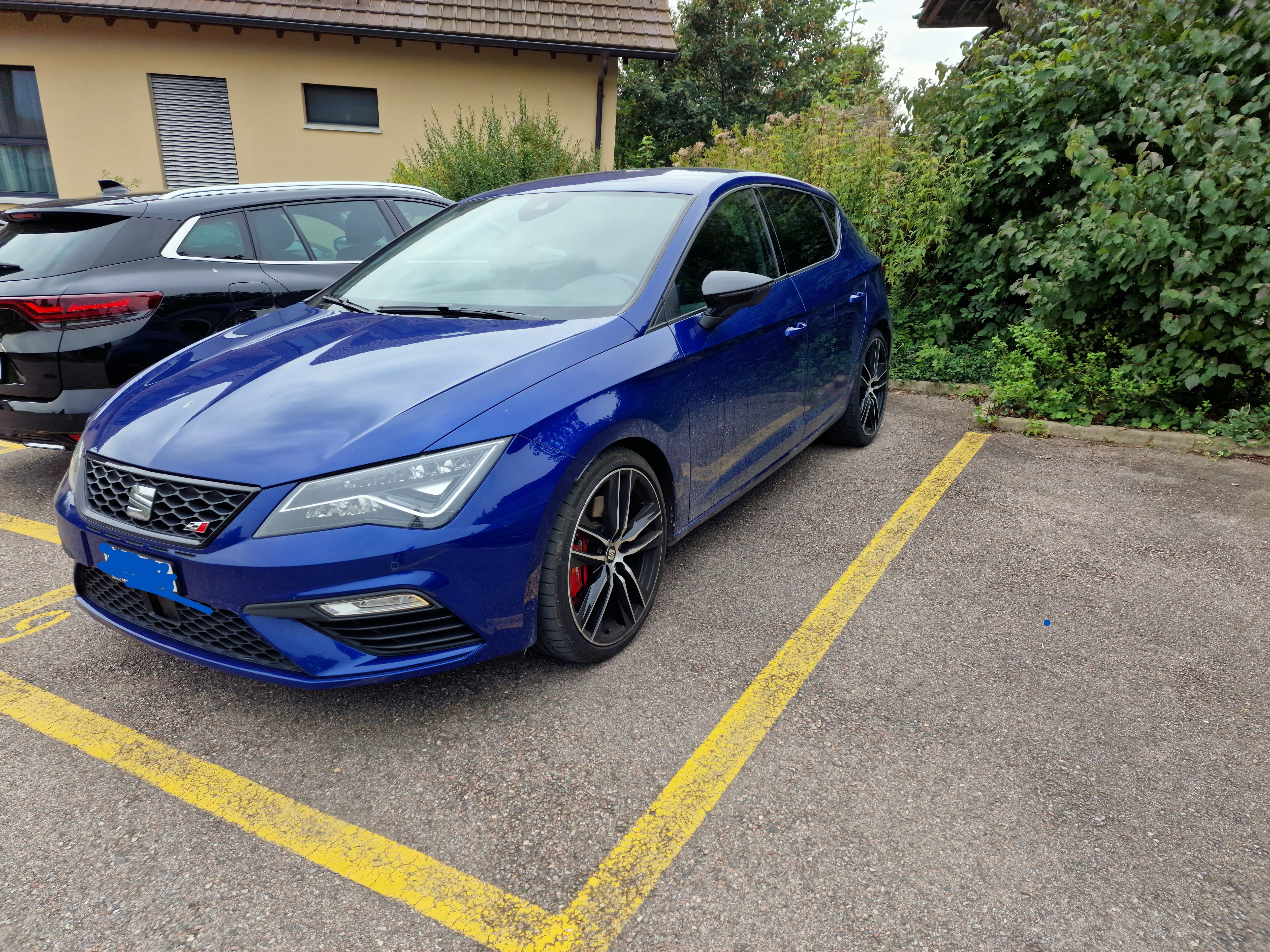 SEAT Leon 2.0 TSI Cupra 290 DSG