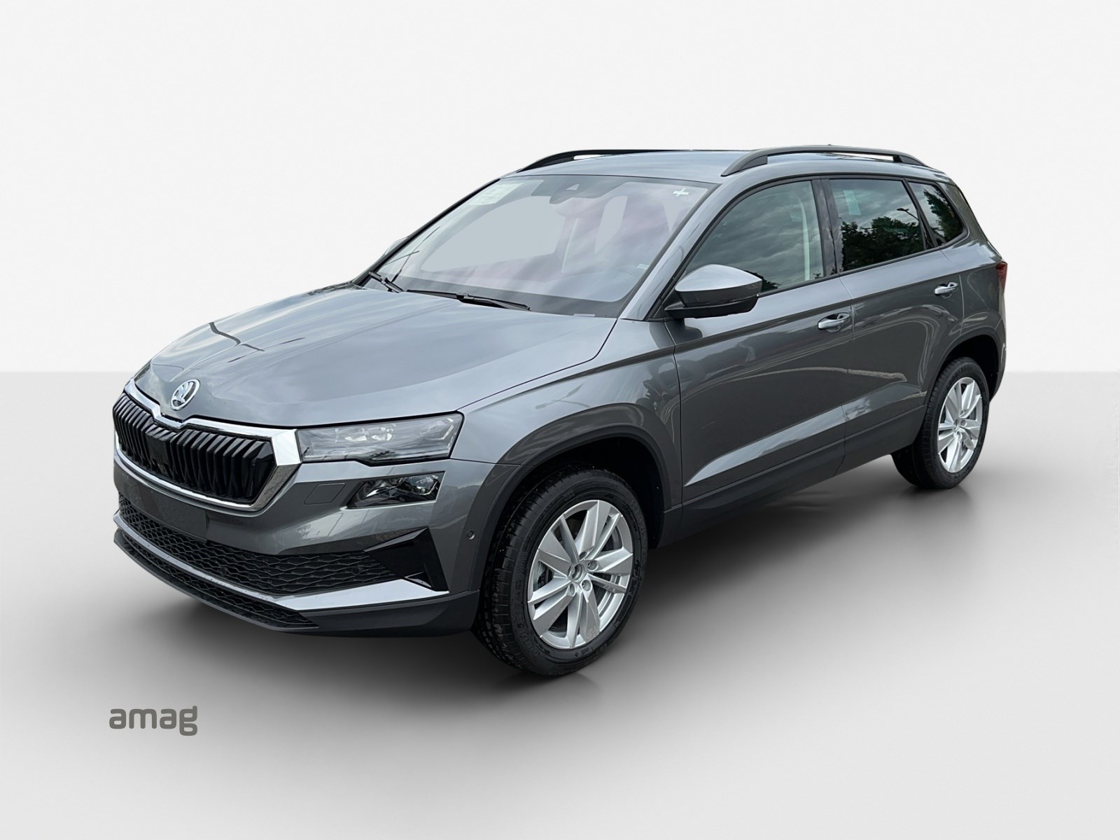 SKODA Karoq 1.5 TSI Selection DSG