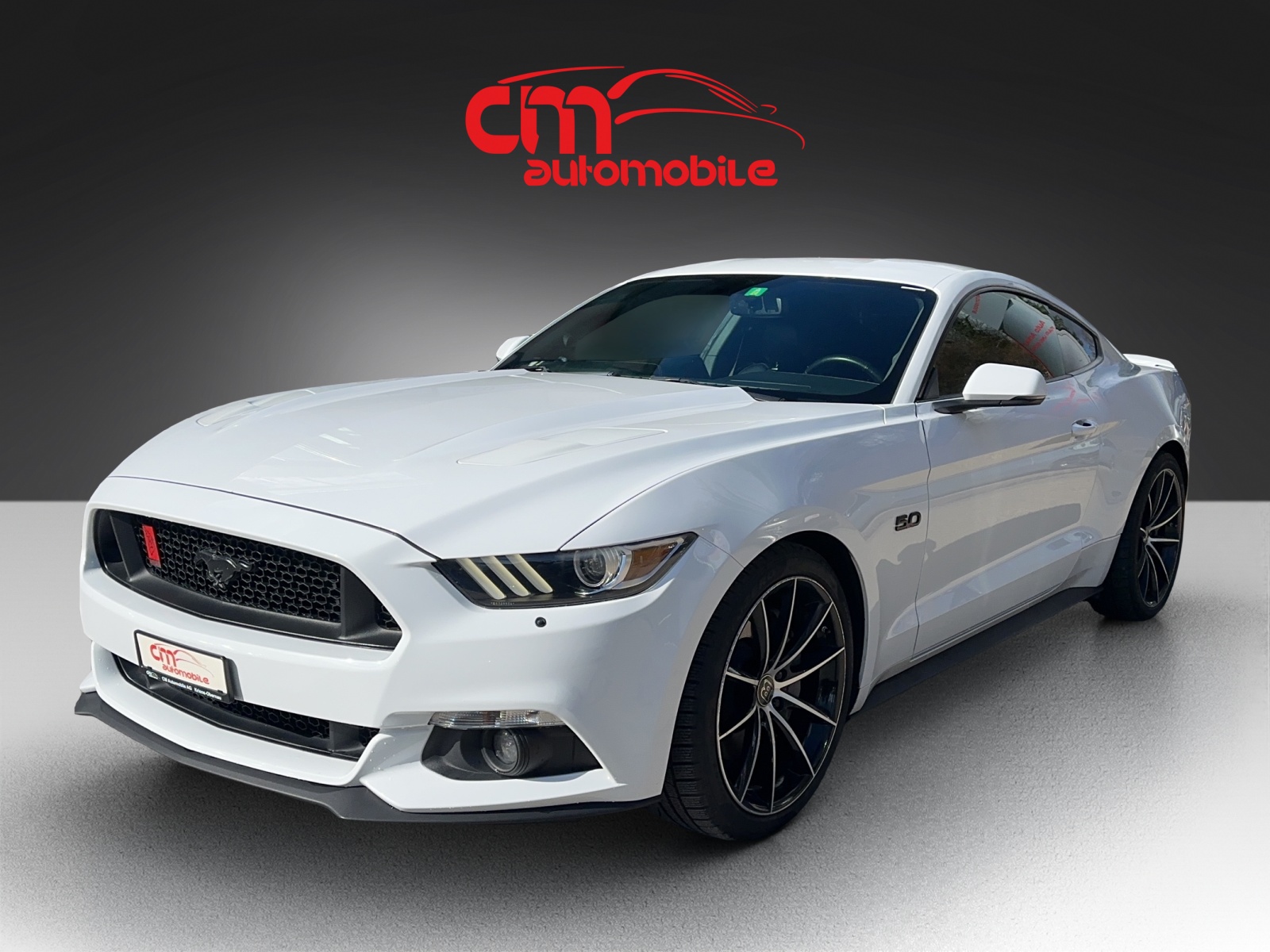 FORD MUSTANG 5.0 V8 GT