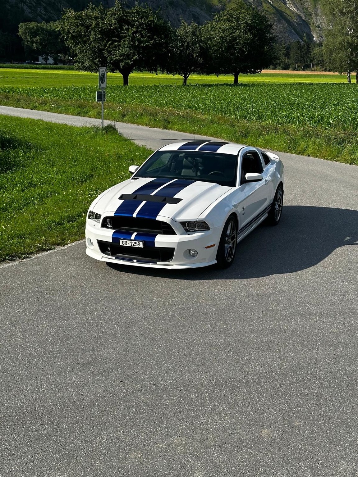 FORD MUSTANG Shelby GT 500