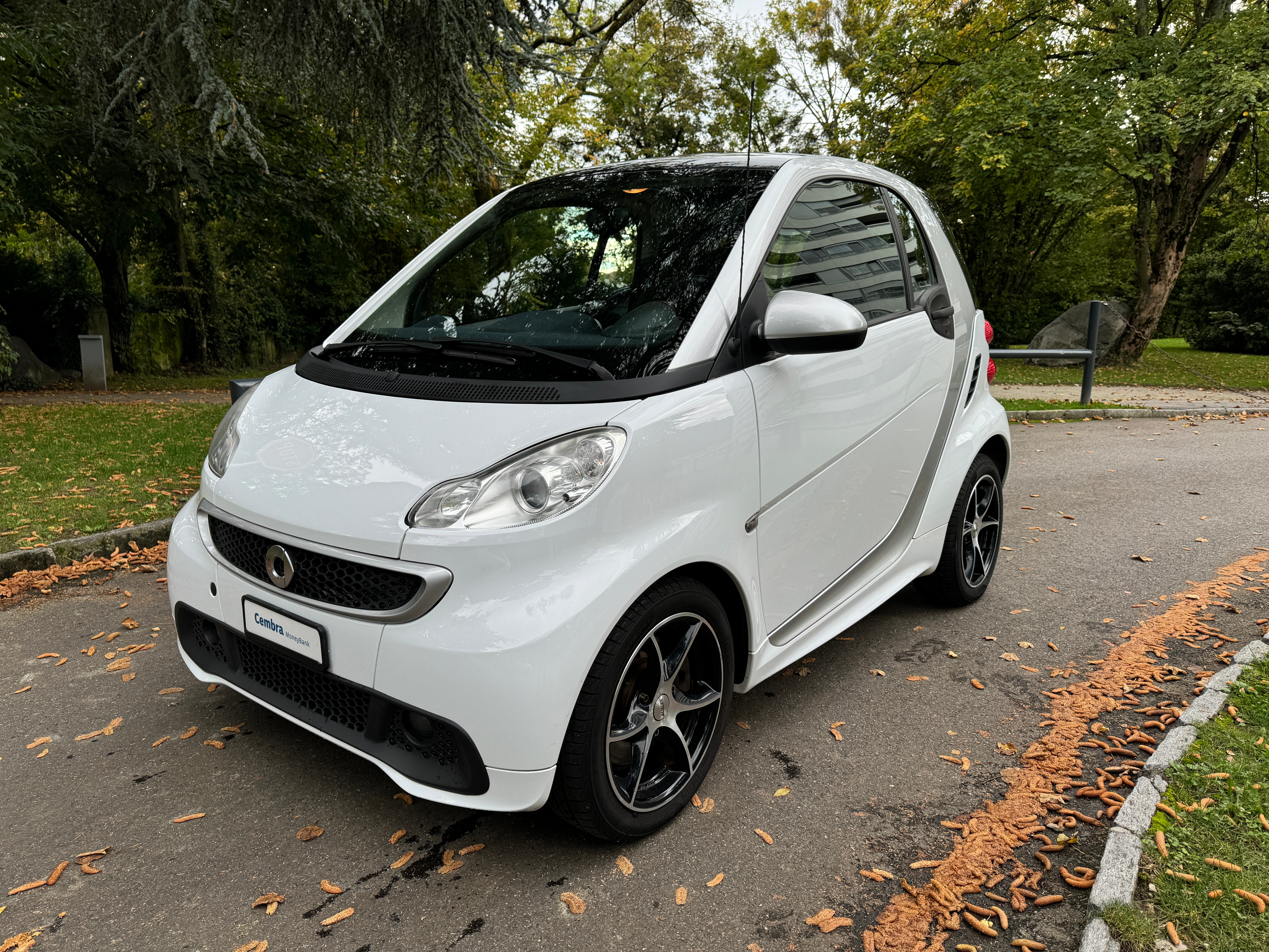 SMART fortwo pure mhd softouch