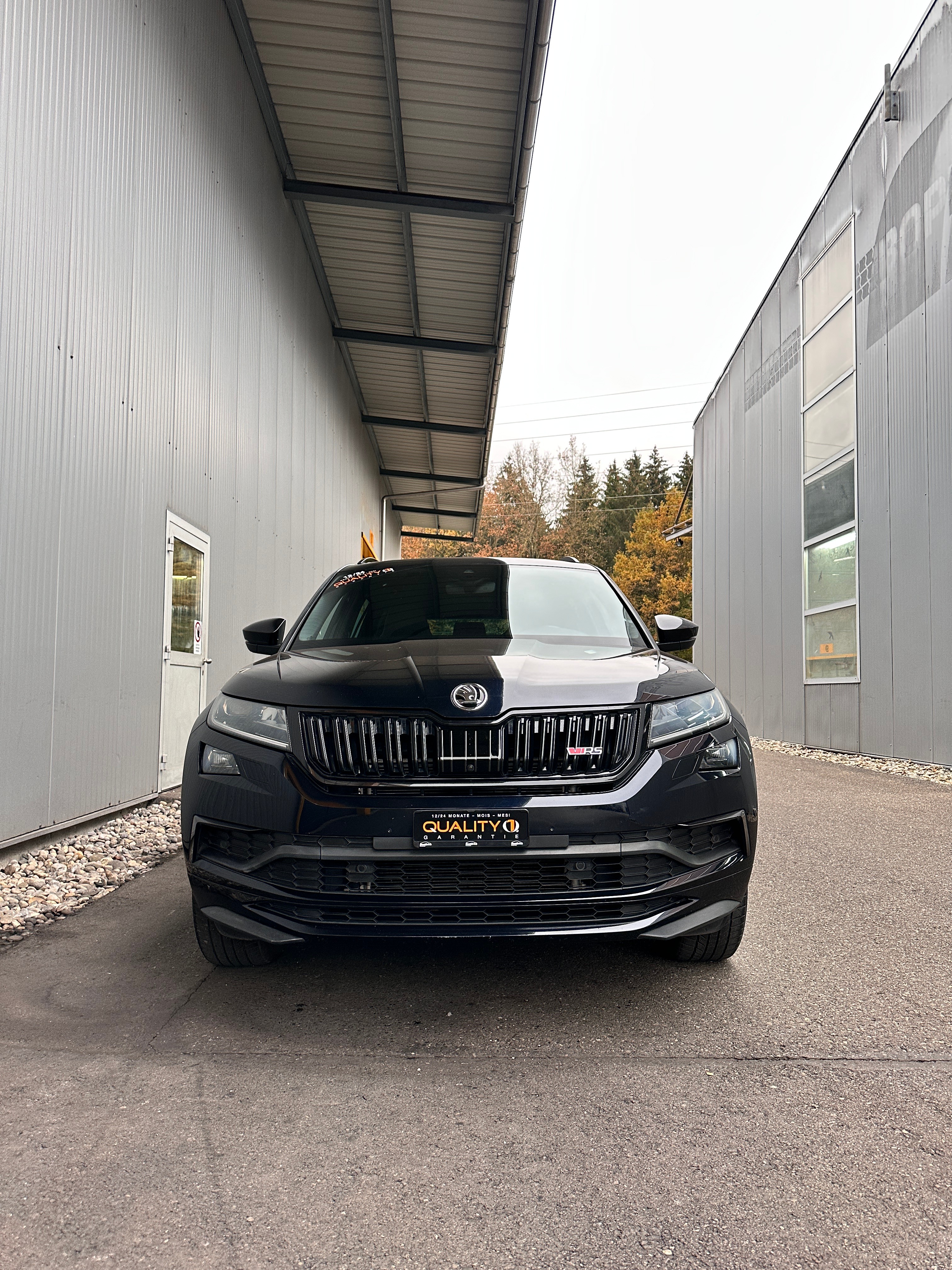 SKODA Kodiaq 2.0 Bi-TDI SCR RS 4x4 DSG