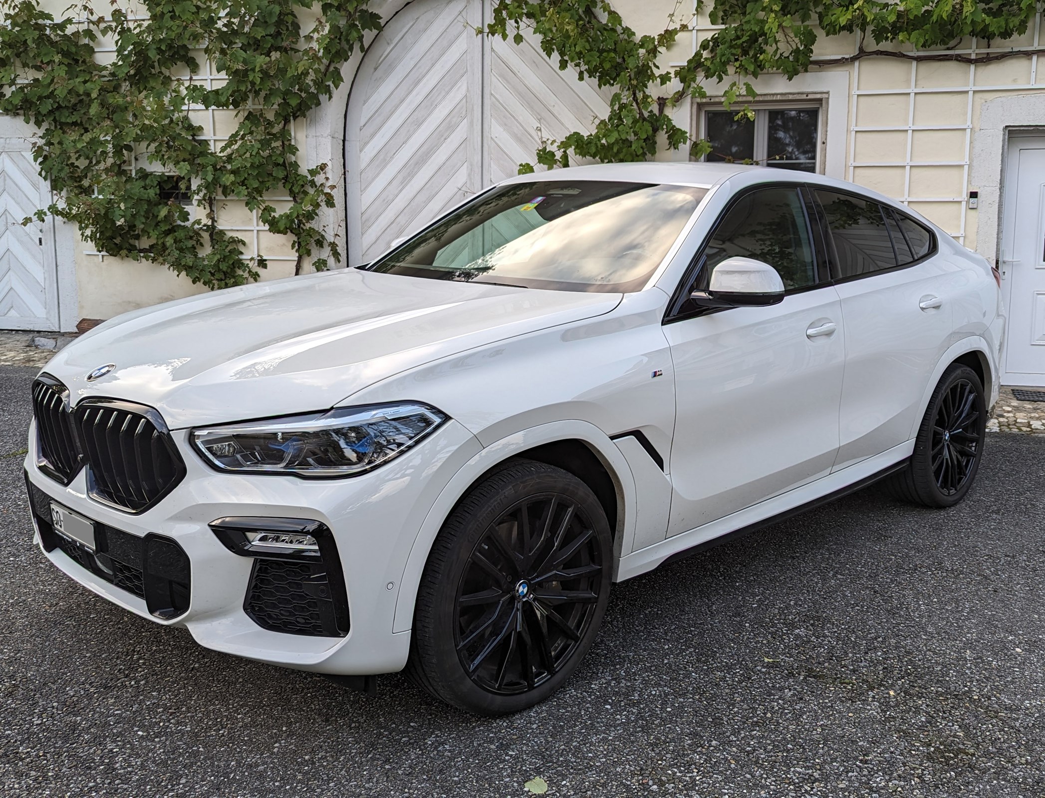 BMW X6 xDrive 48V 30d M Sport Steptronic