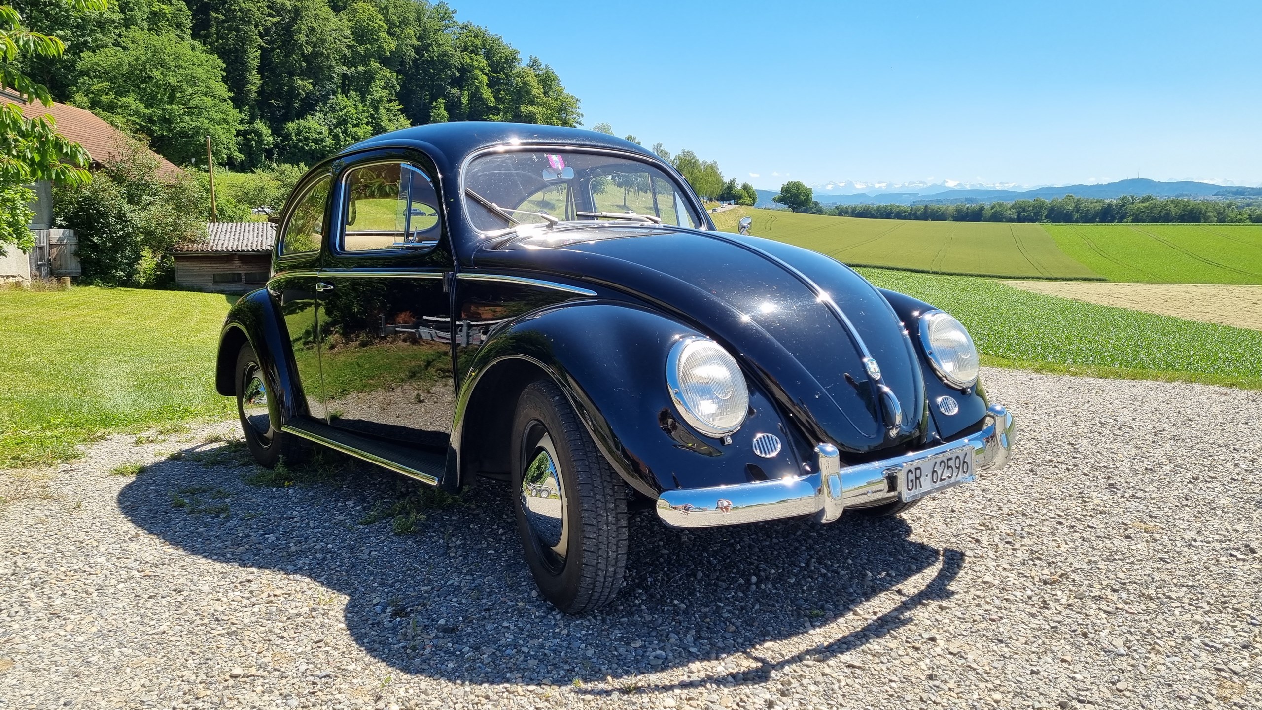 VW Käfer 1954