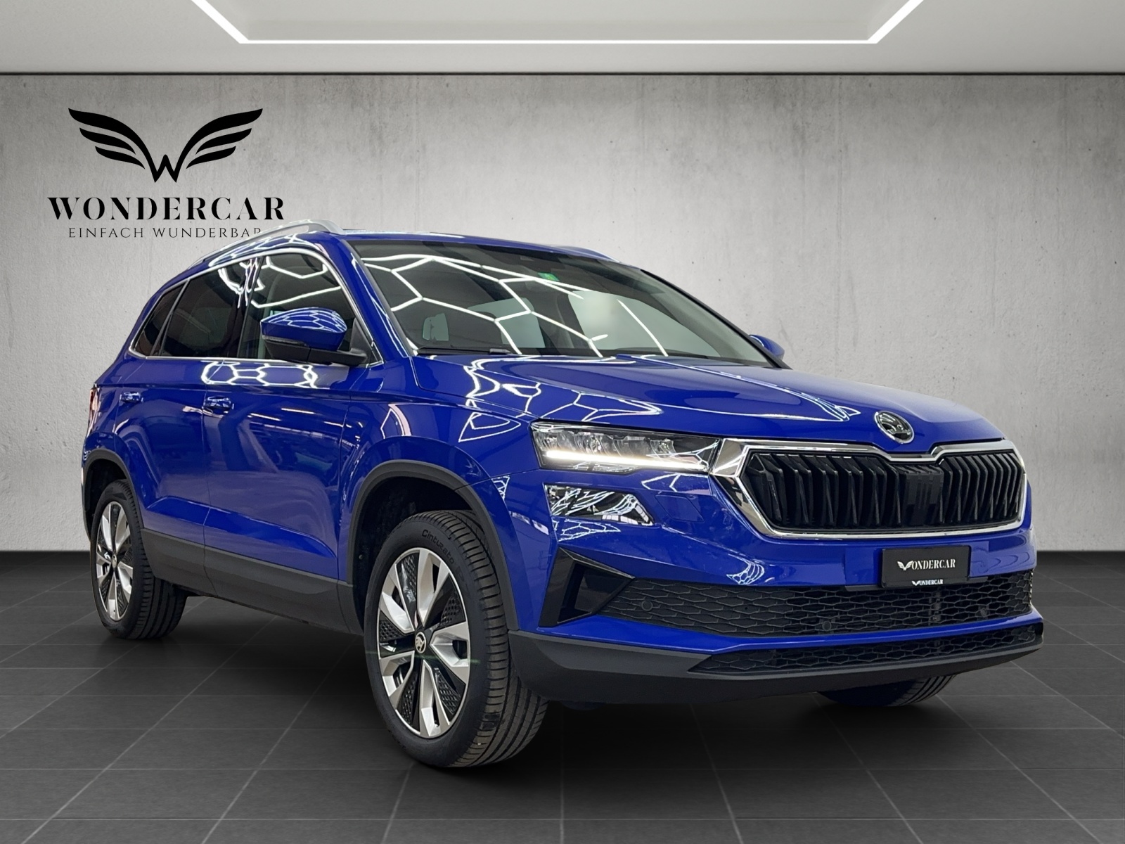 SKODA Karoq 2.0 TDI CR Ambition 4x4 DSG