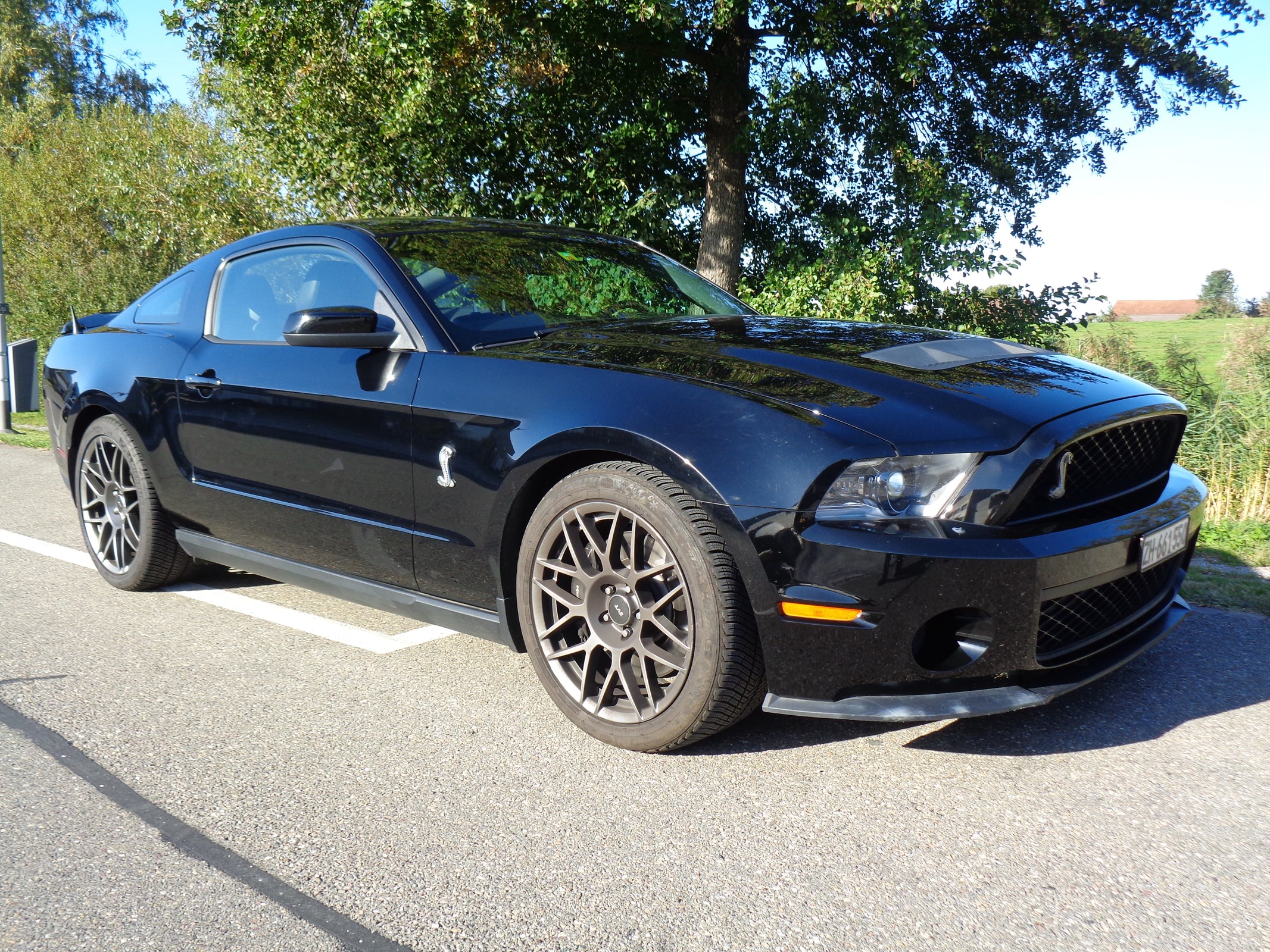 FORD MUSTANG Shelby GT500