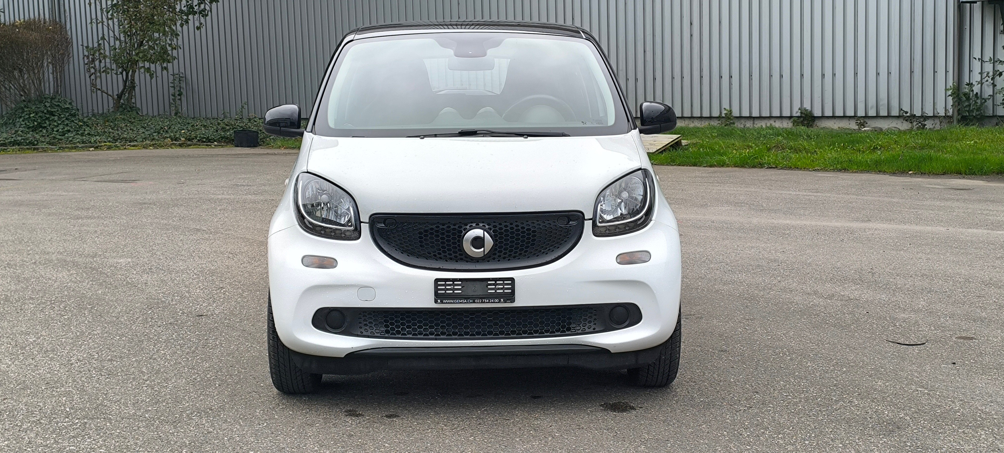 SMART forfour passion