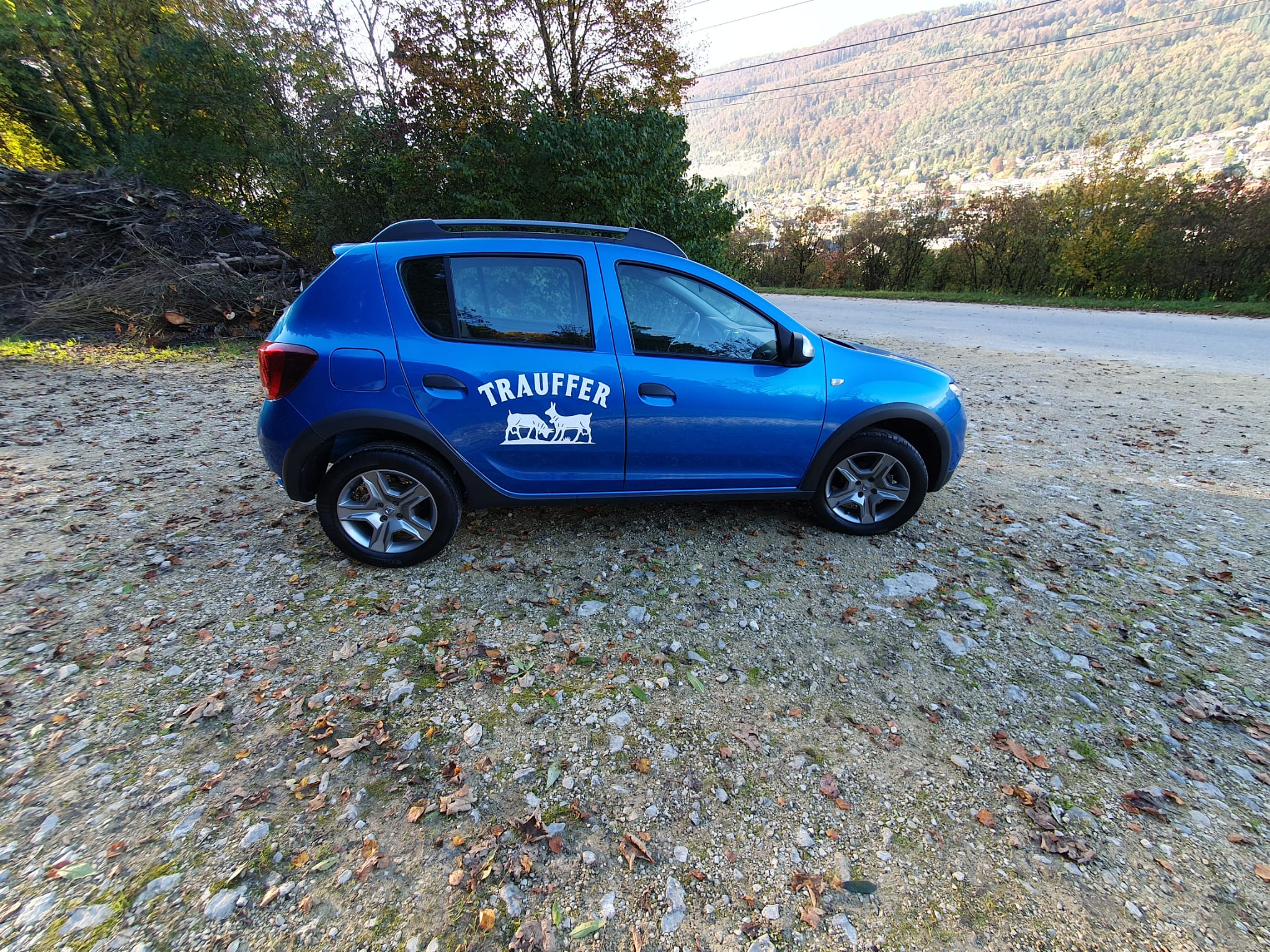 DACIA Sandero Tce 90 Stepway Lauréate Automatic