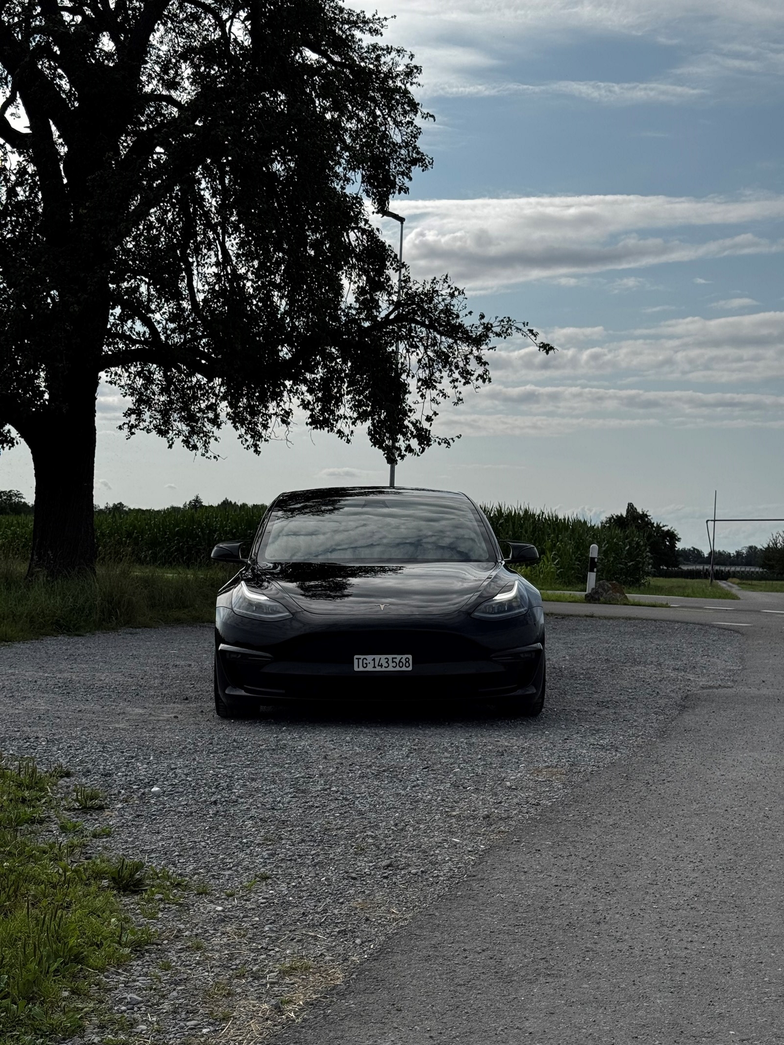 TESLA Model 3 Performance Dual Motor AWD