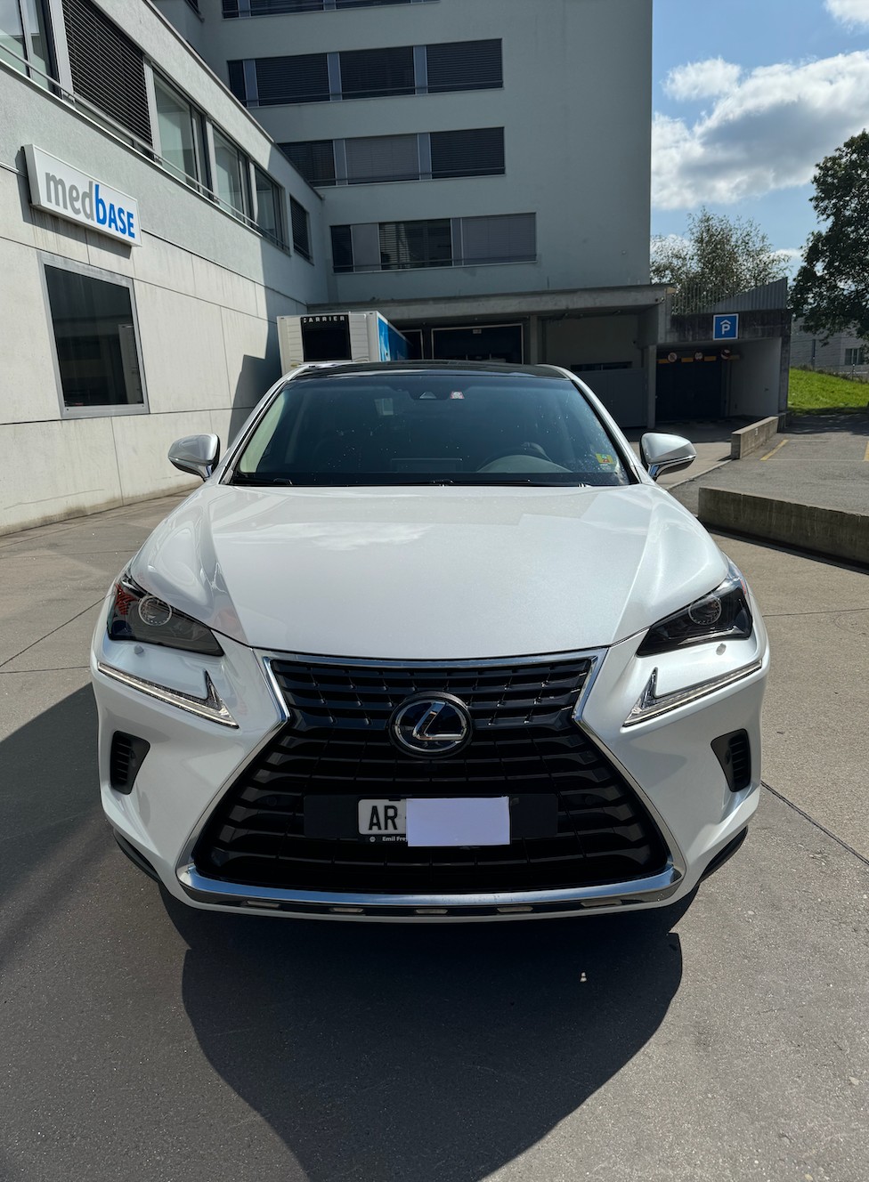 LEXUS NX 300h Diamond E-Four Automatic