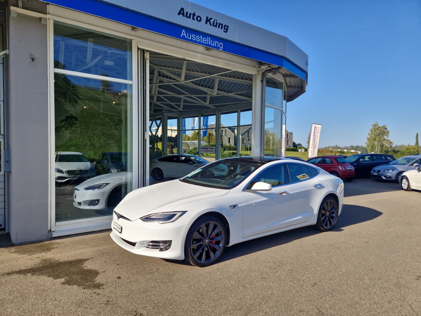 TESLA Model S 100 D Performance