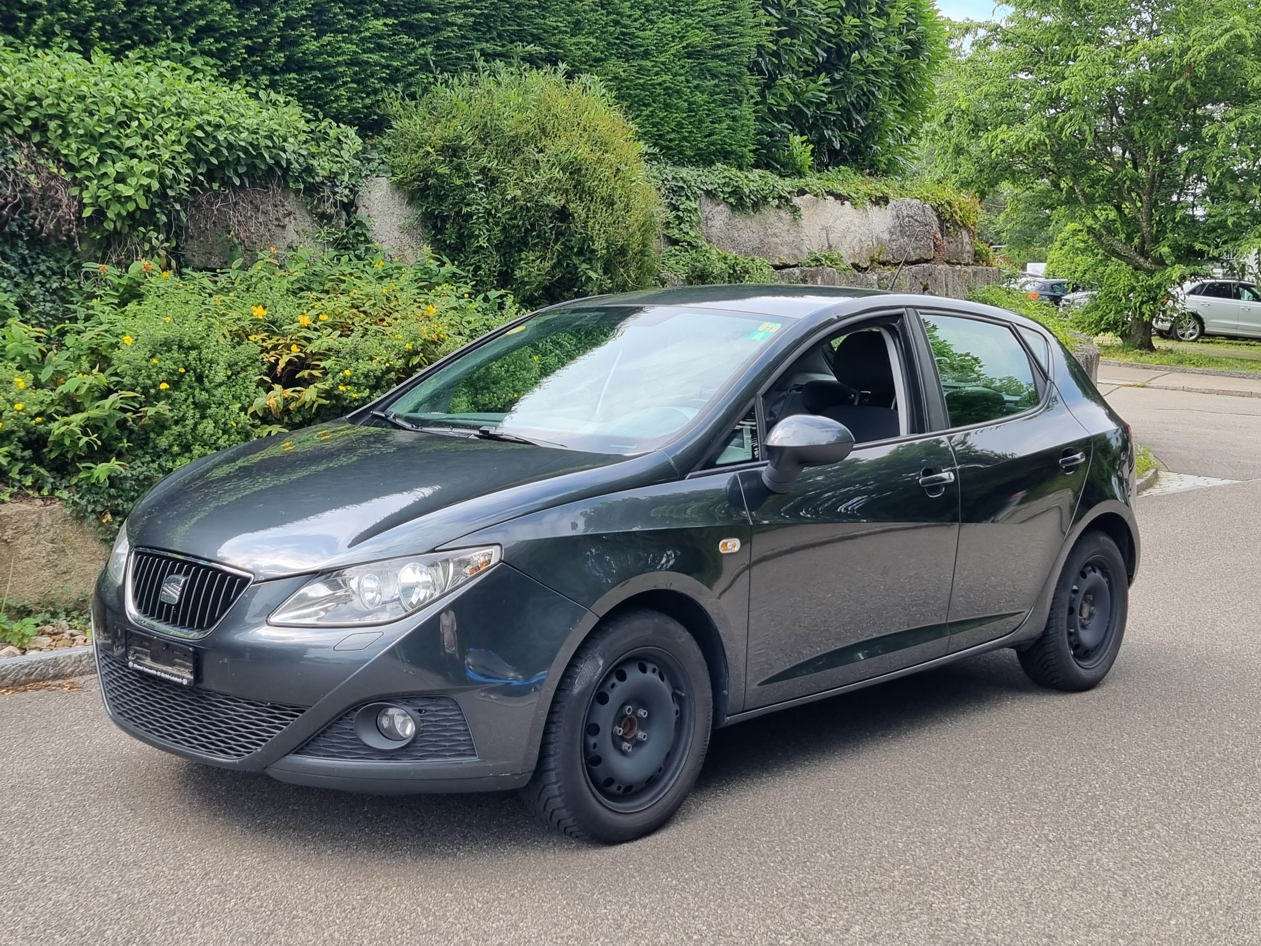 SEAT Ibiza 1.9 TDI Stylance