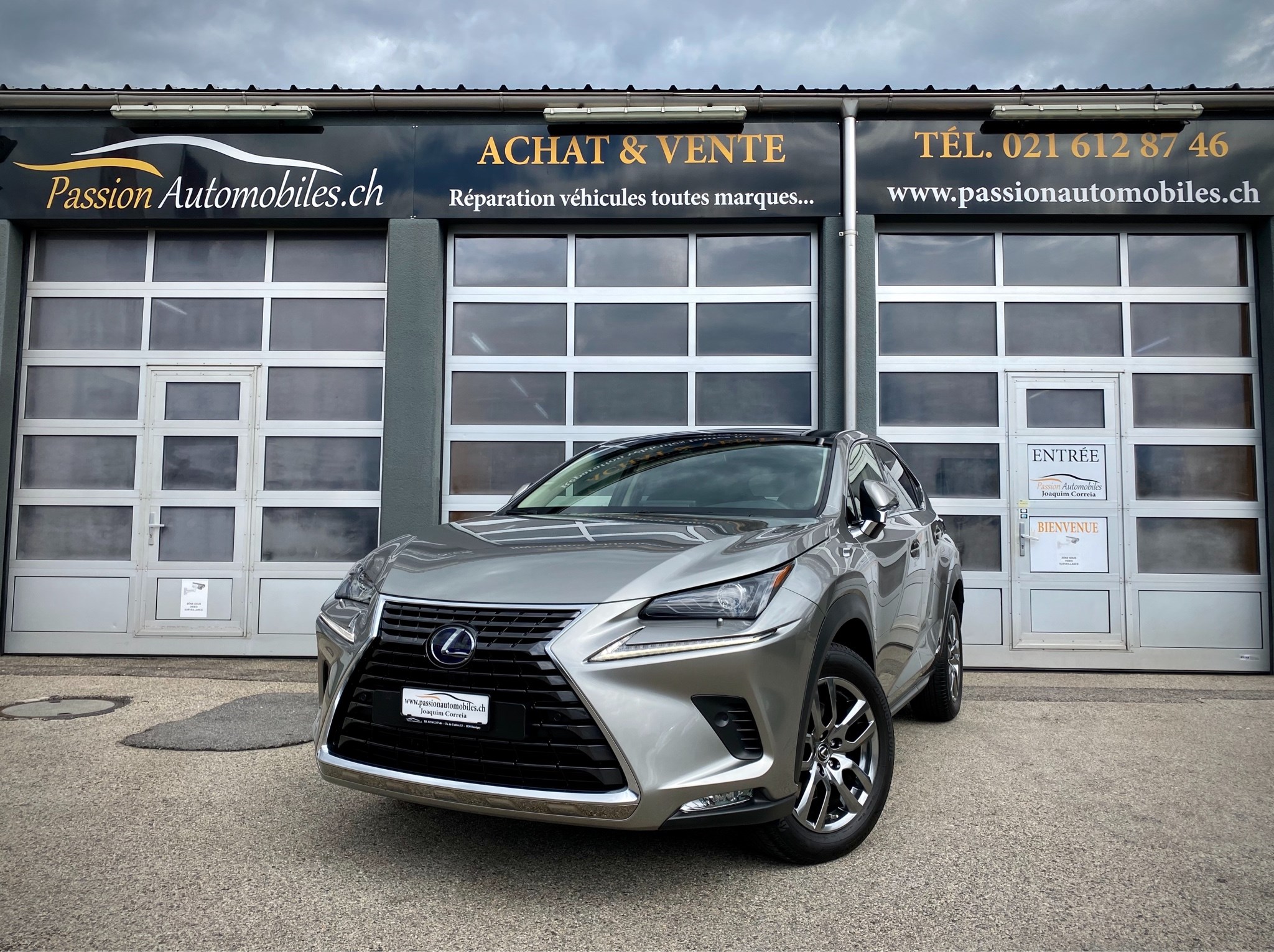 LEXUS NX 300h Diamond E-Four Automatic