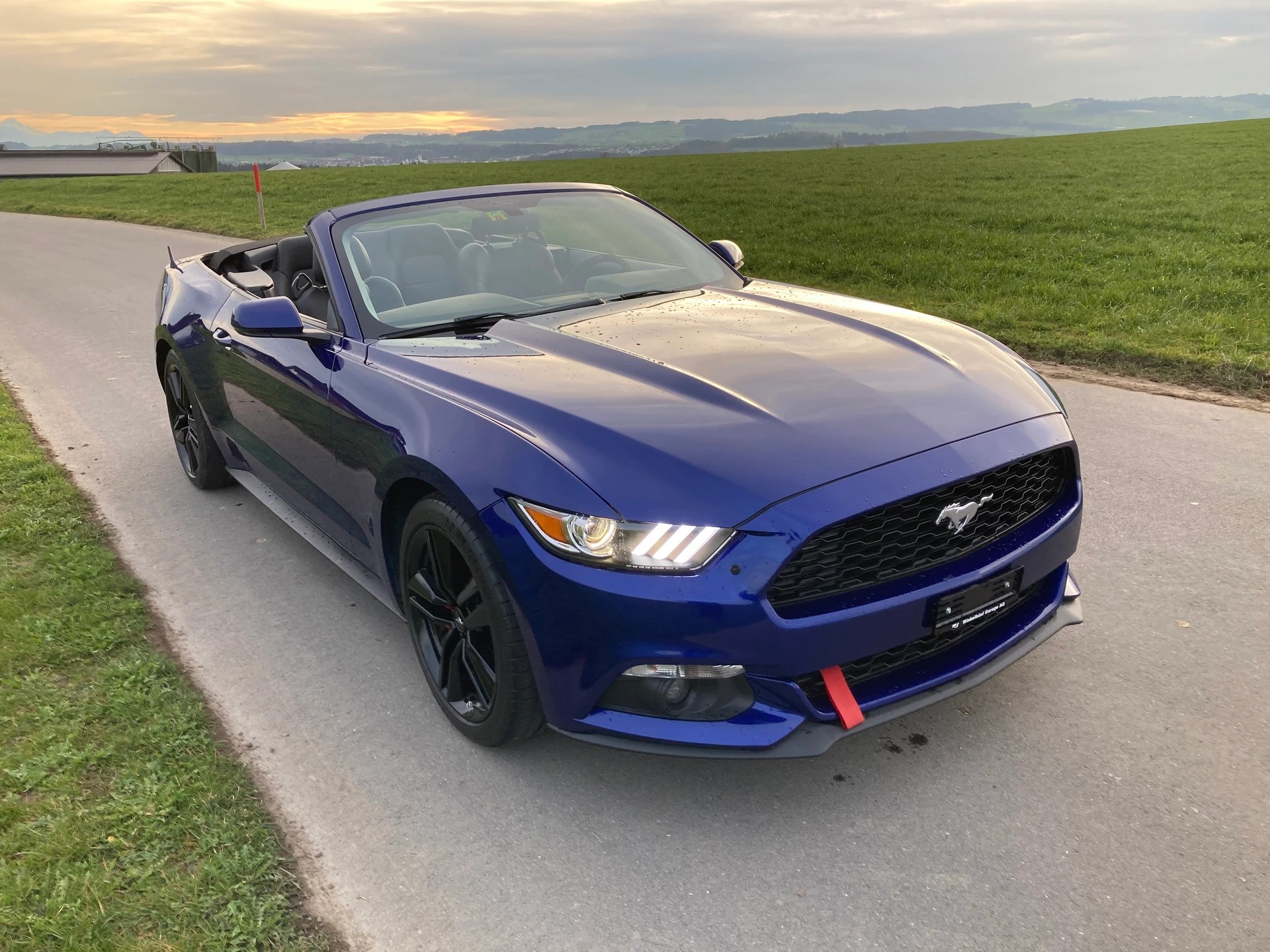 FORD Mustang Convertible 2.3 317 PS