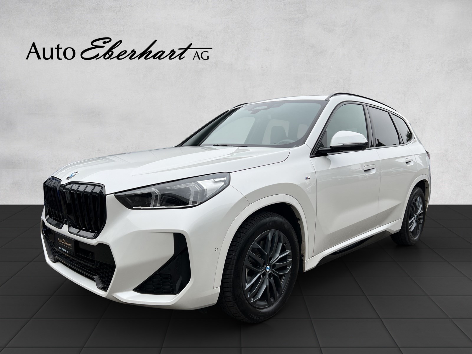 BMW X1 xDrive 23i 48V M Sport