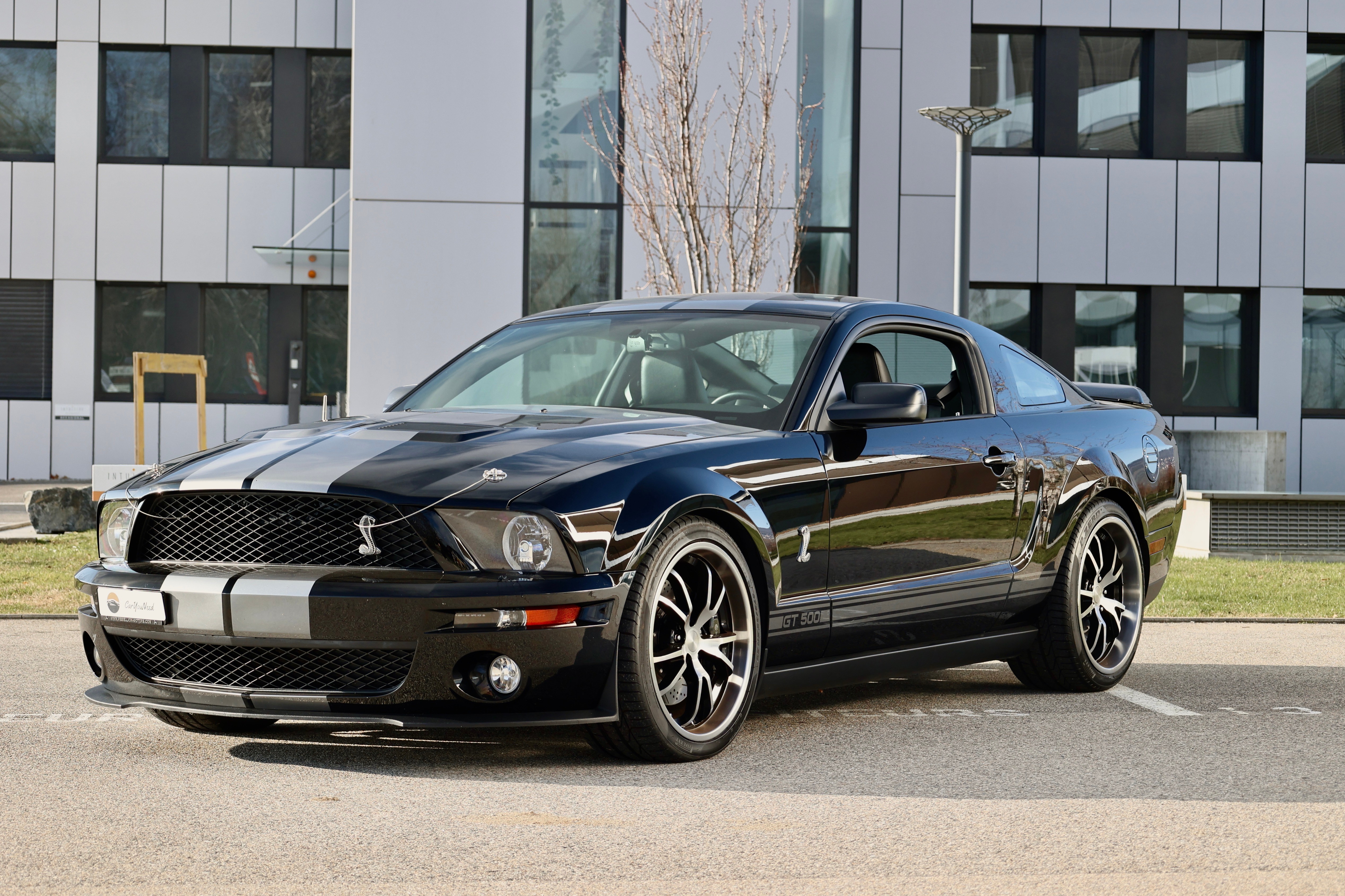 FORD Shelby GT500