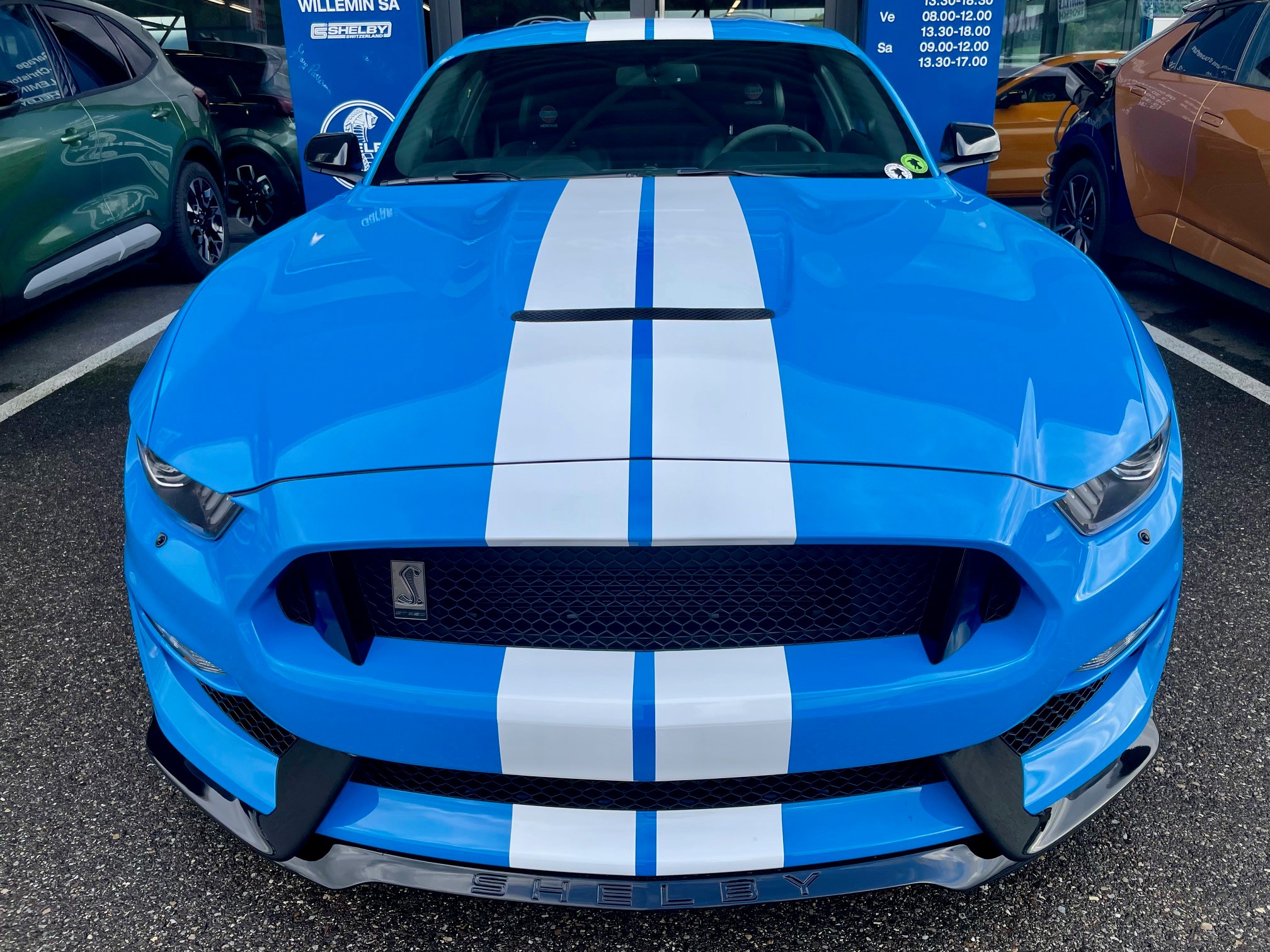 FORD Shelby GT350