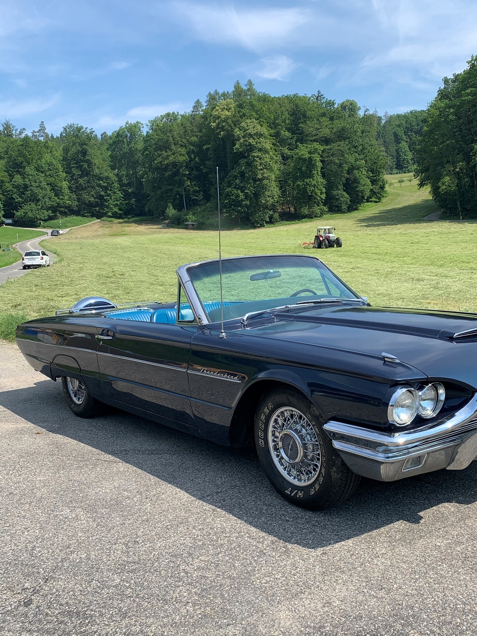 FORD Thunderbird Flair Birds