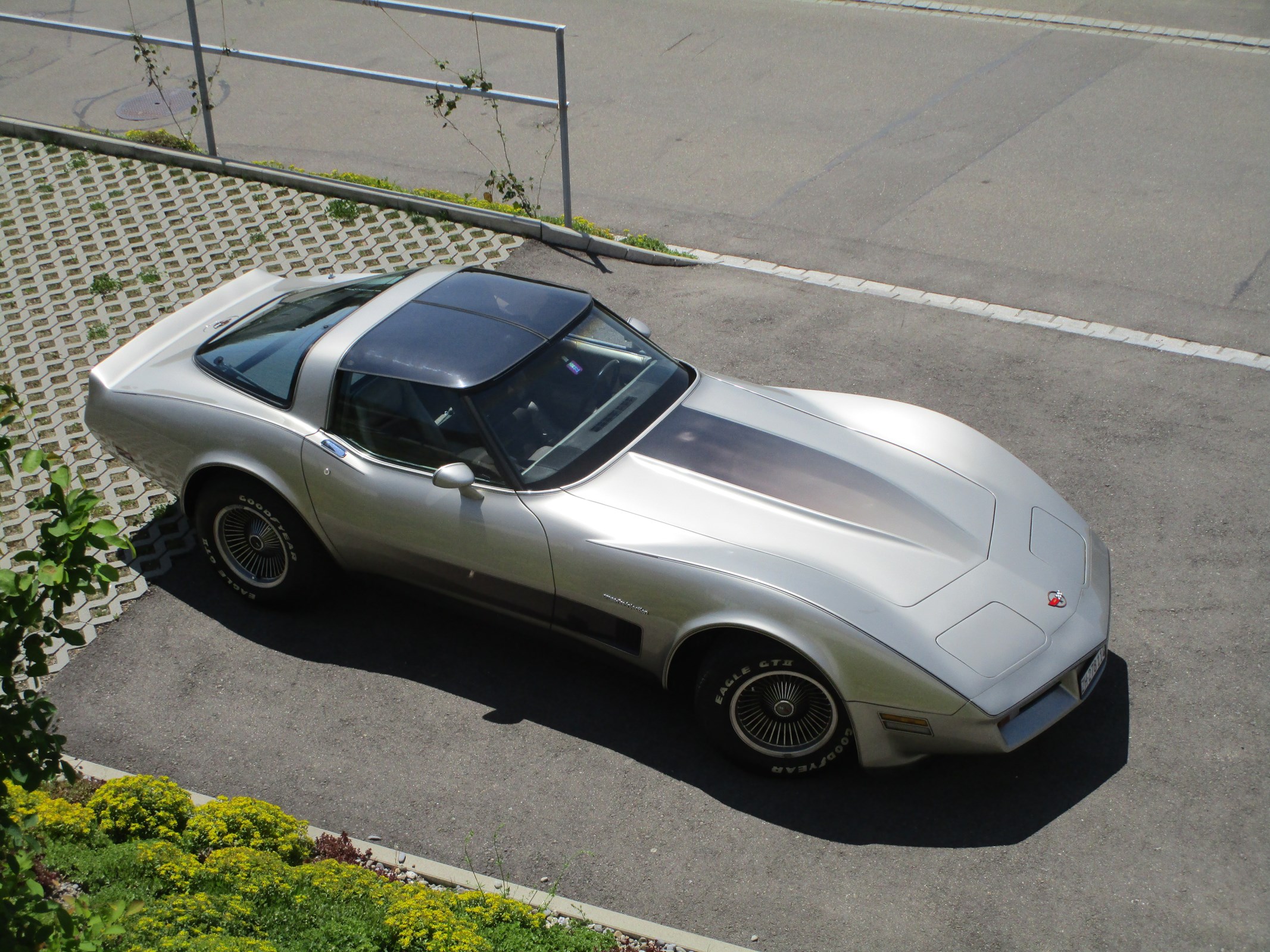 CHEVROLET CORVETTE Collector Edition (C3) 1982 Targa