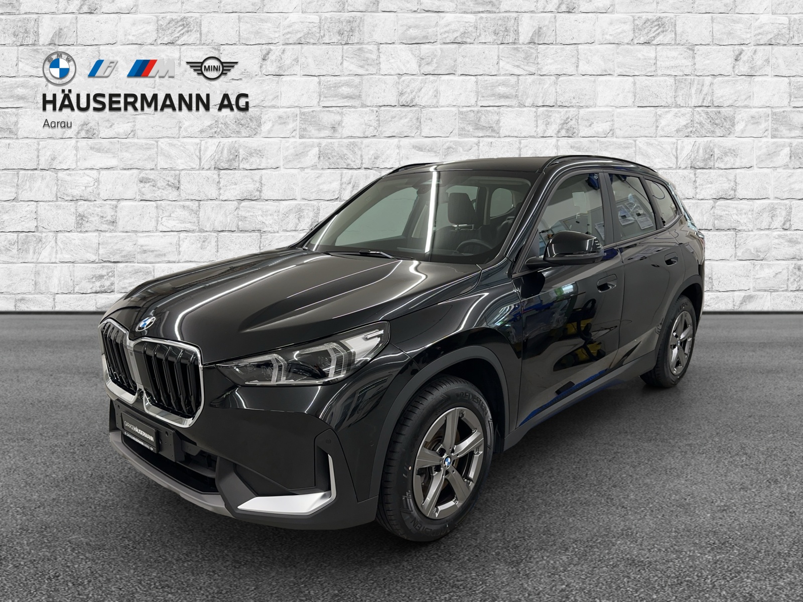 BMW X1 xDrive 23i 48V