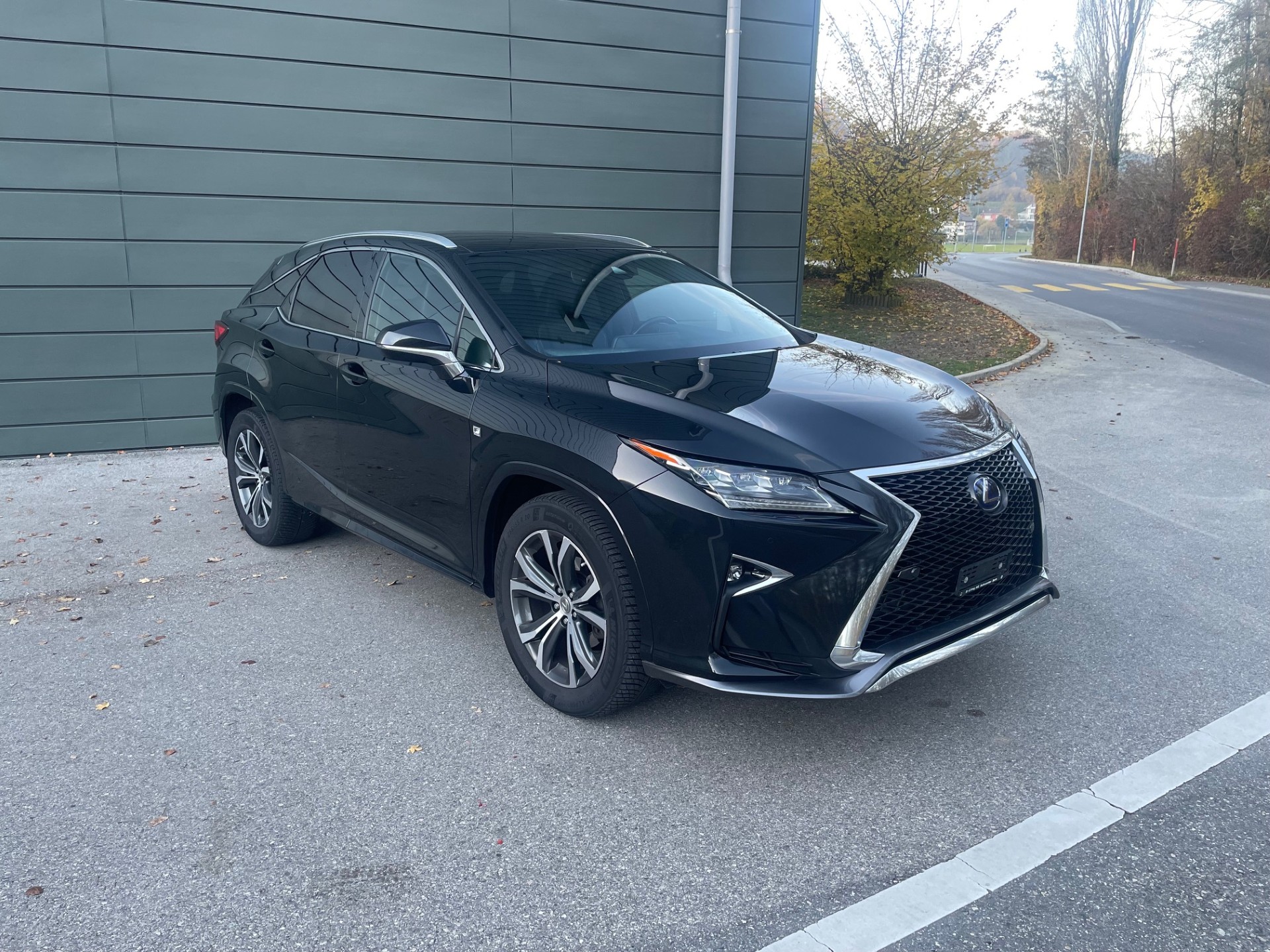 LEXUS RX 450h diamond F-Sport AWD CVT