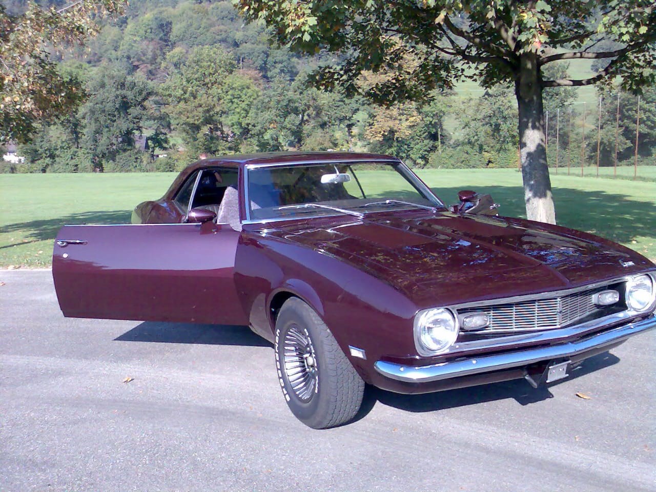 CHEVROLET CAMARO 250