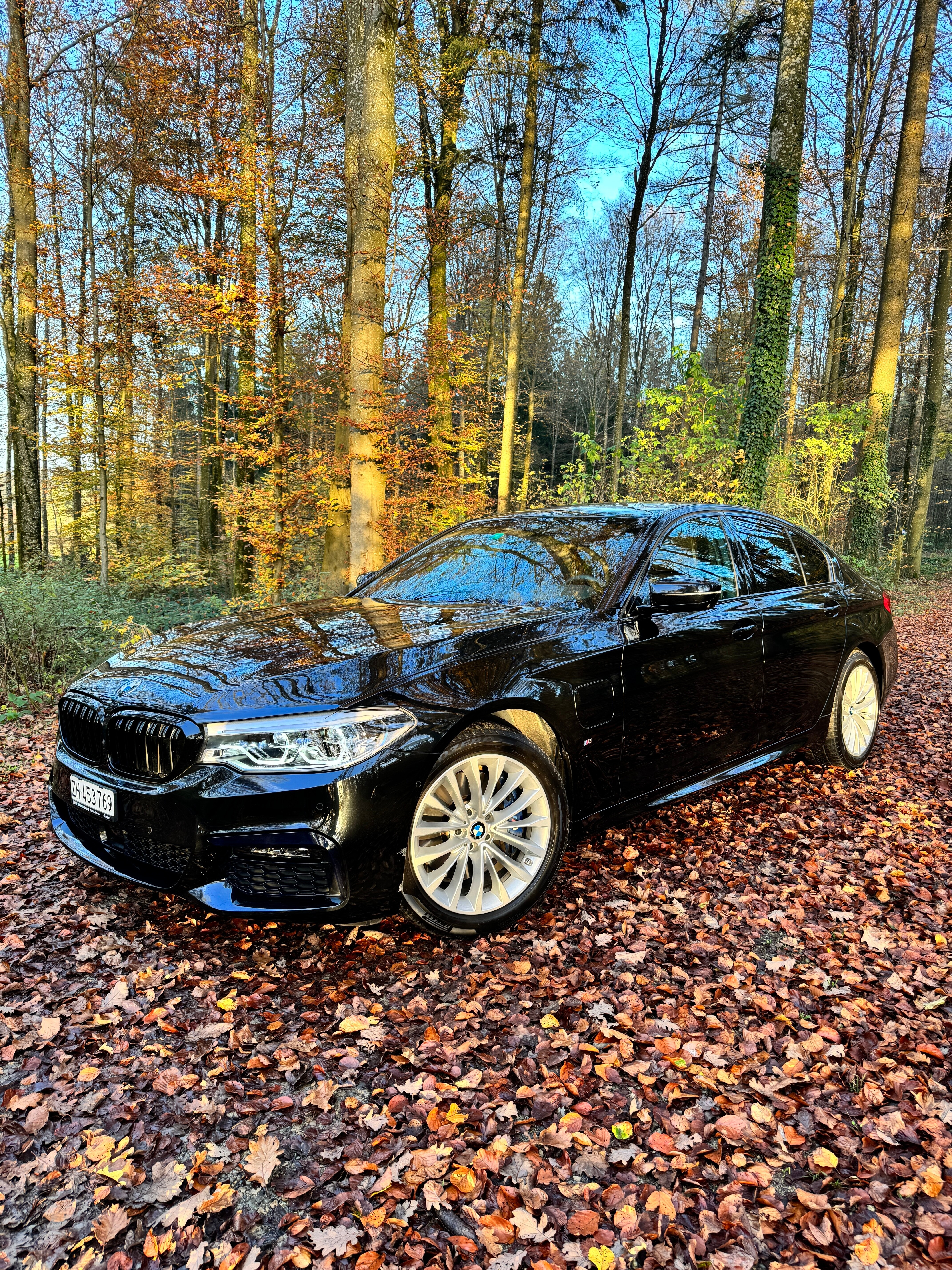 BMW 530e xDrive Pure M Sport Edition