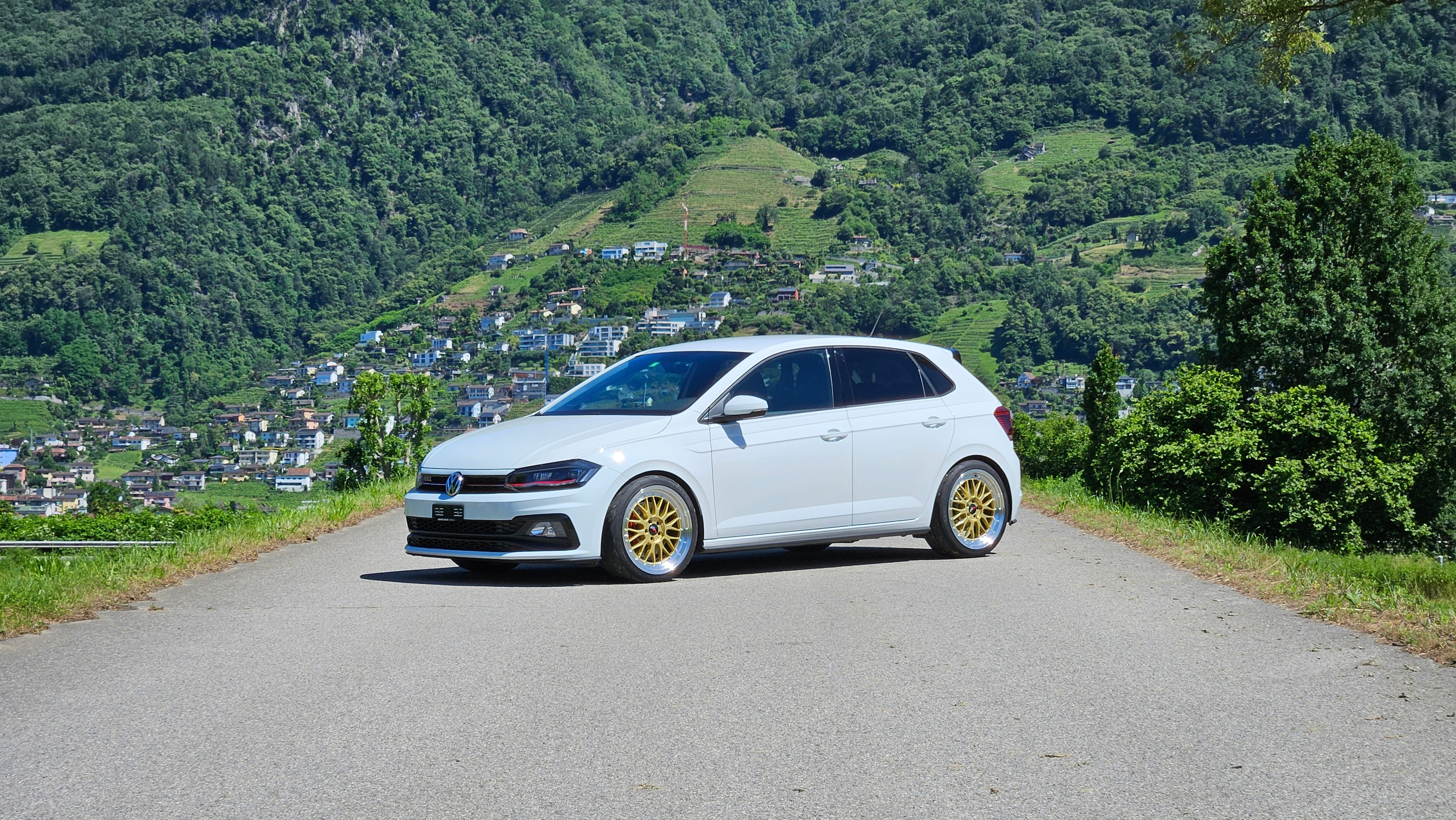 VW Polo 2.0 TSI GTI DSG