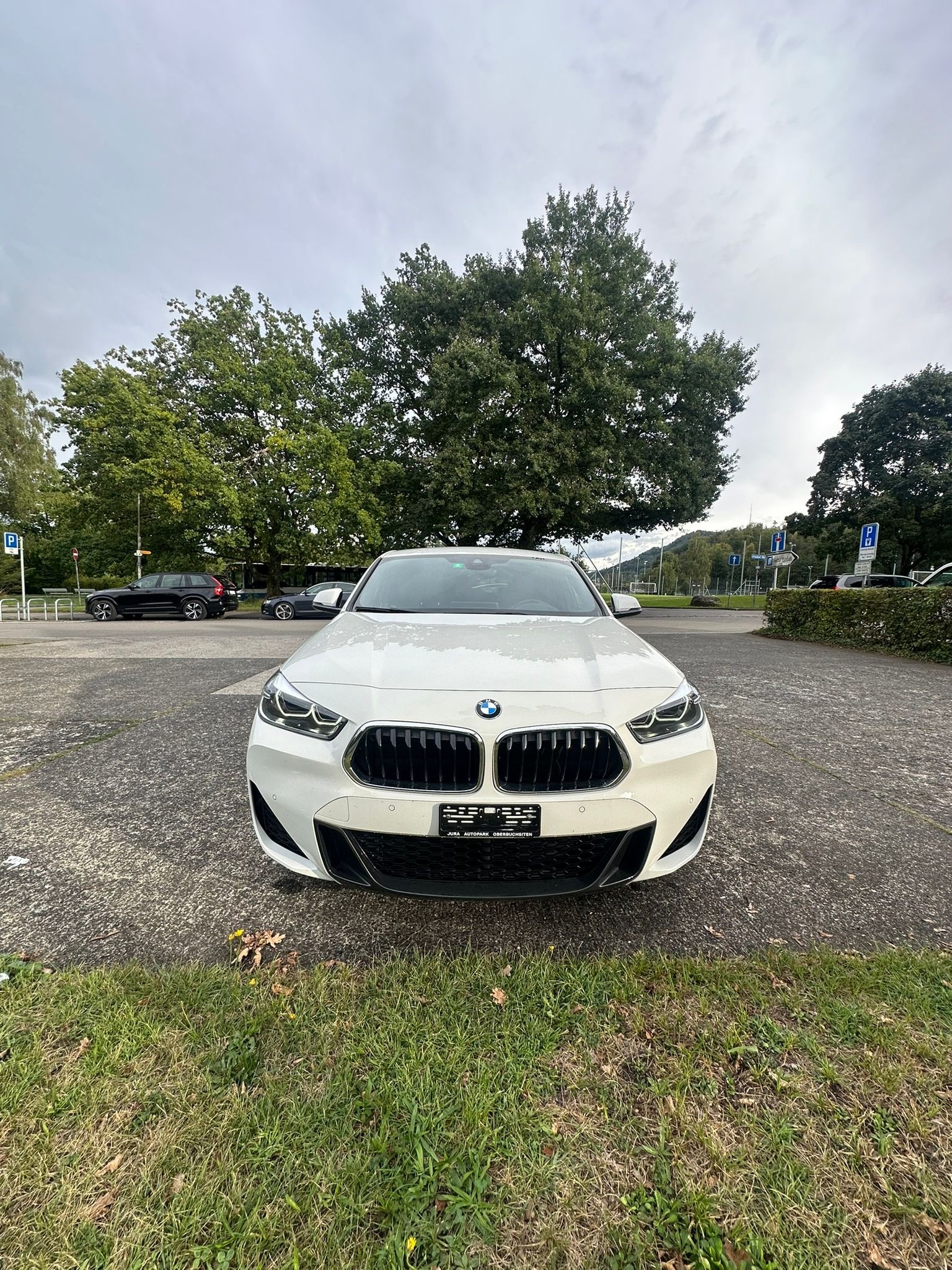 BMW X2 xDrive 20d M Sport Steptronic