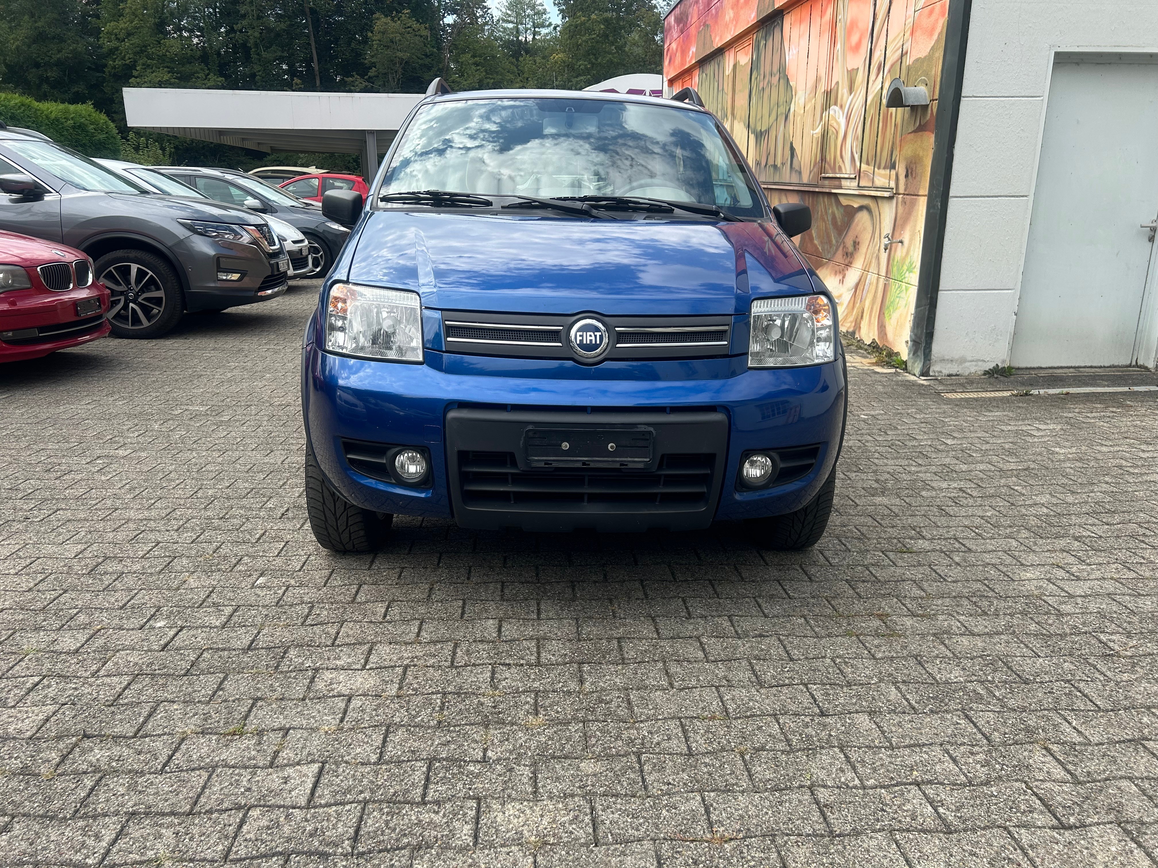 FIAT Panda 1.2 4x4 (Trekking)