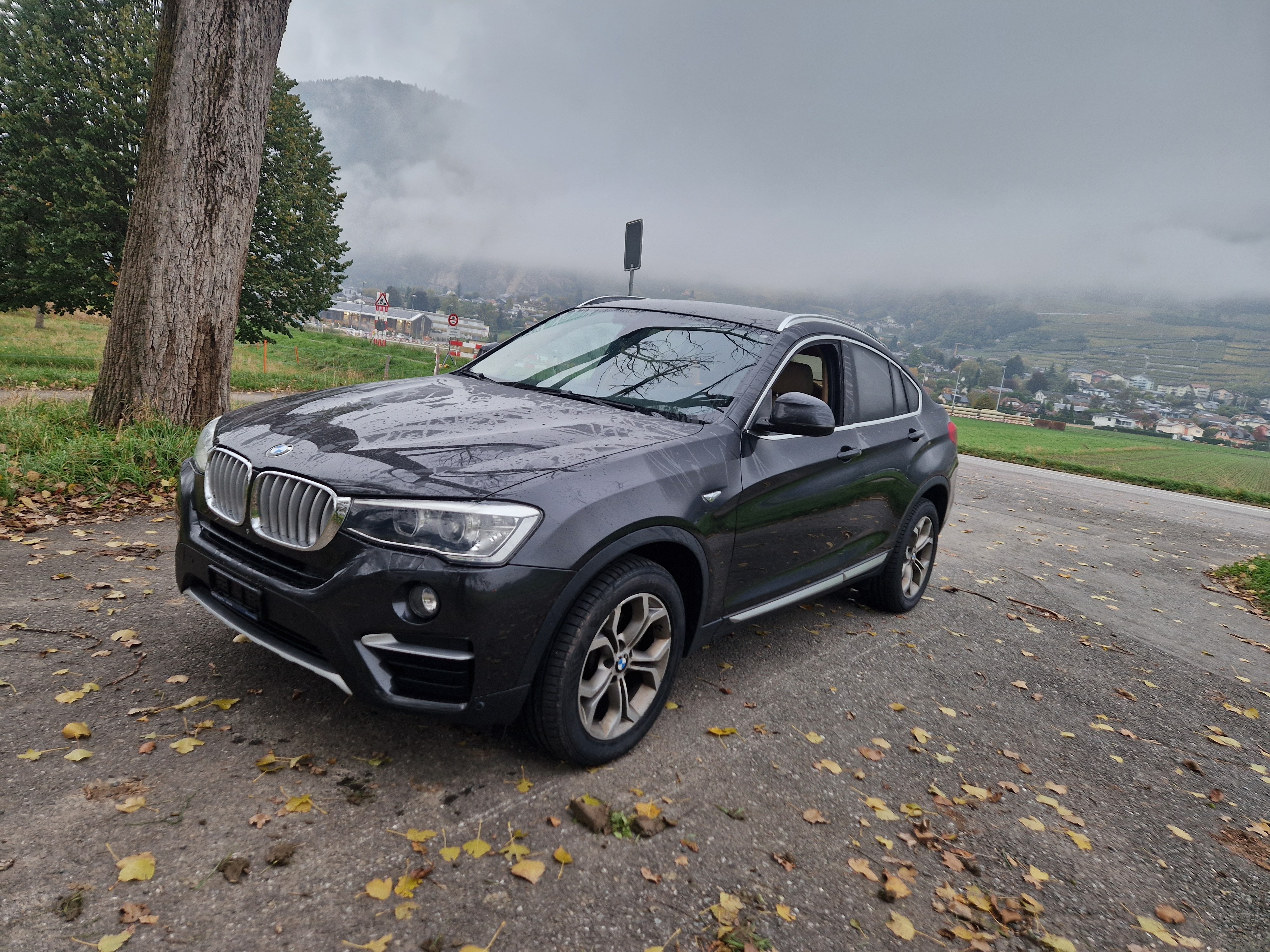 BMW X4 xDrive 30d Steptronic