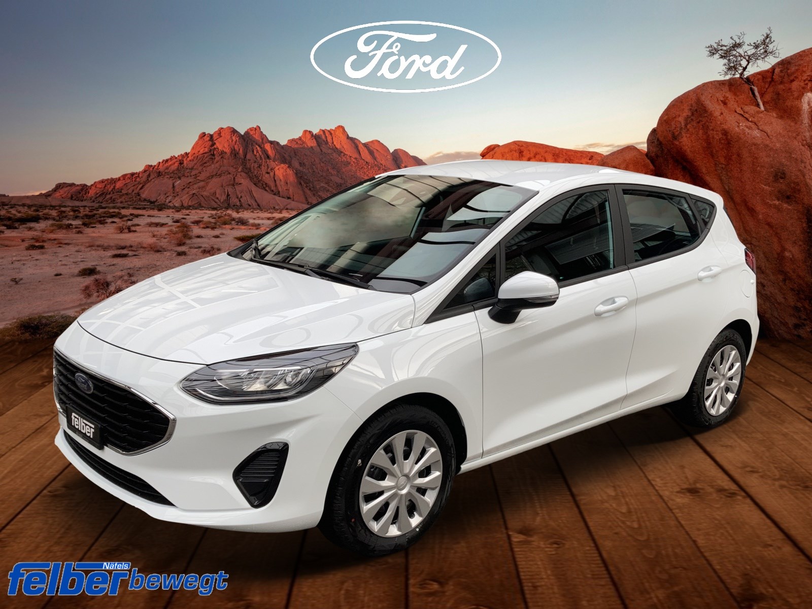 FORD Fiesta 1.0 EcoB 100 Cool & Connect