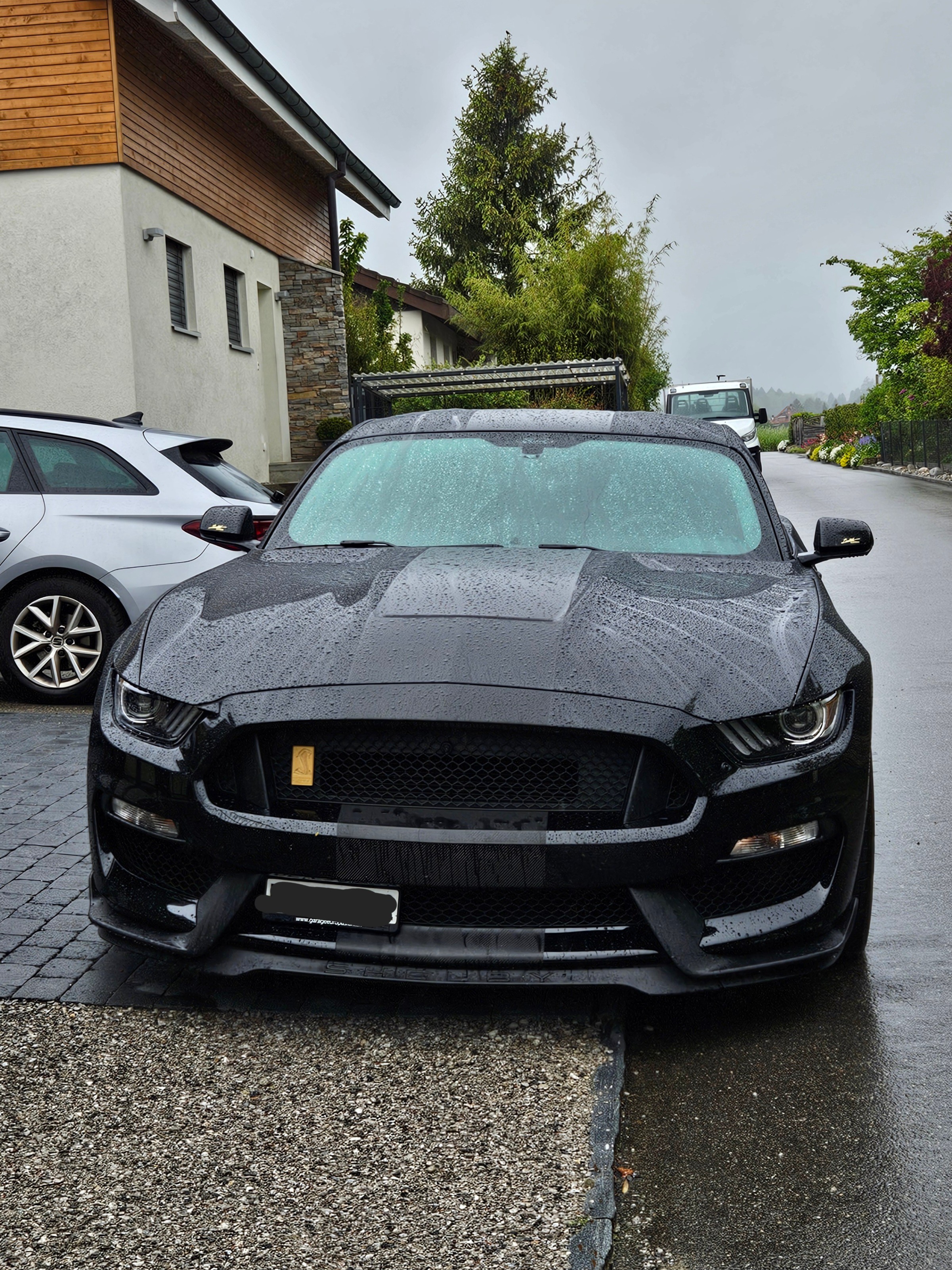 FORD Shelby GT350